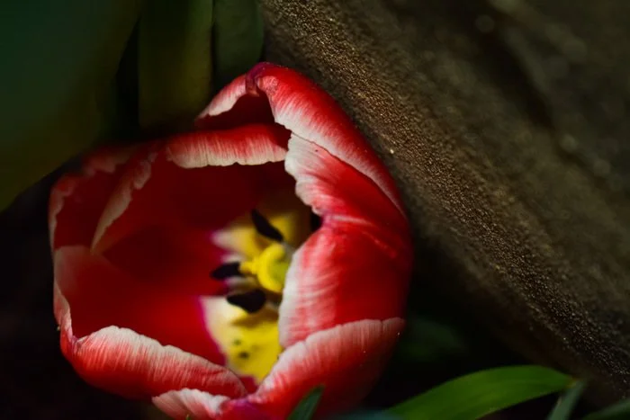 Untitled

Medium:
Digital Photography

Dimensions:
10" x 12" x 0"

Artwork for Sale:
Yes

Price:
$200.00

Year Completed:
2022

Primary Discipline:
Photography