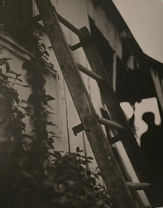 Stairway to Heaven, Ladders to Hell
Medium:
Darkroom Photography

Dimensions:
17" x 8.5" x 0"

Artwork for Sale:
Yes

Price:
$150.00

Year Completed:
2022

Primary Discipline:
Photography

Art in Public Places:
No