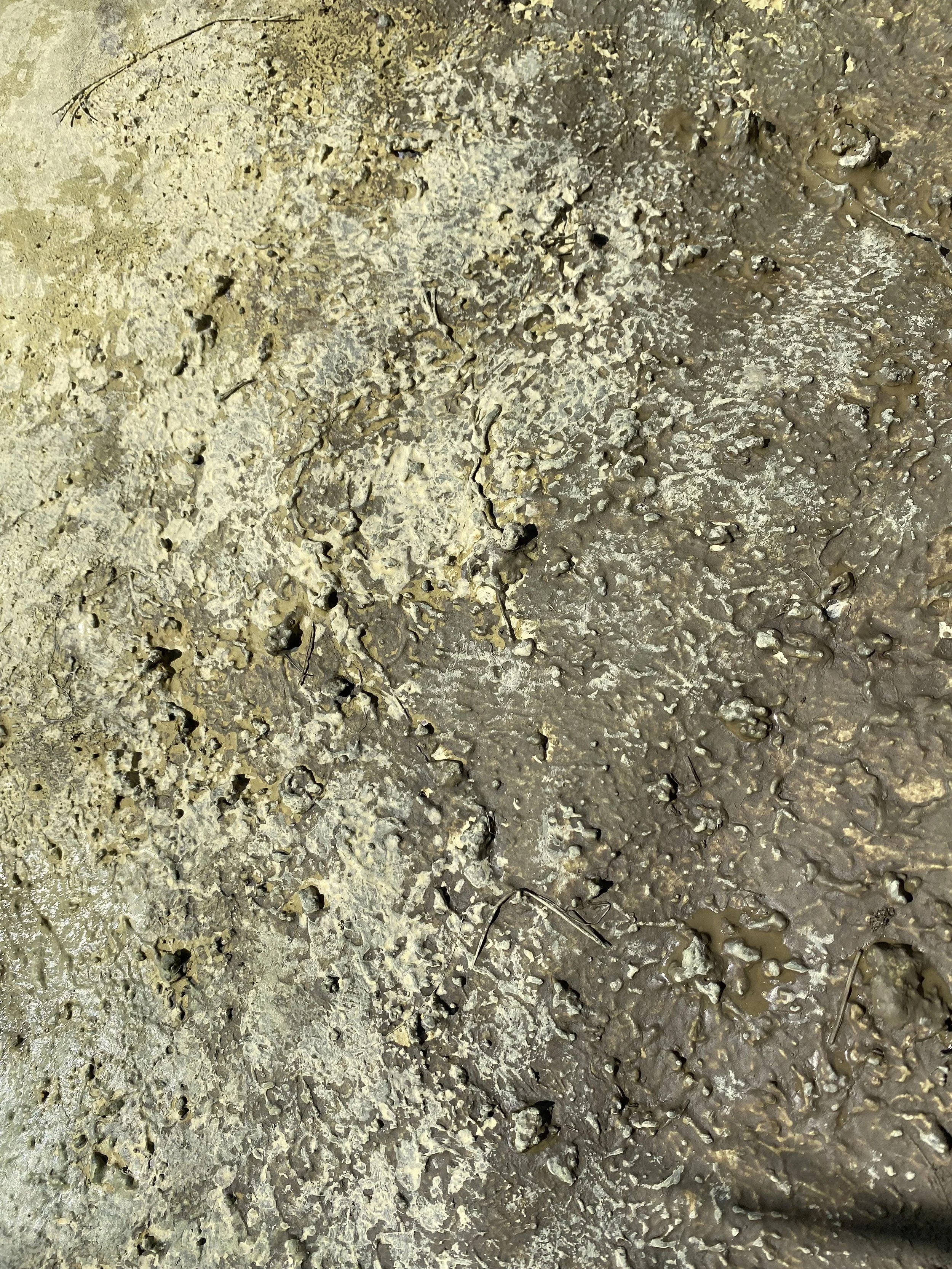 textures7.jpg