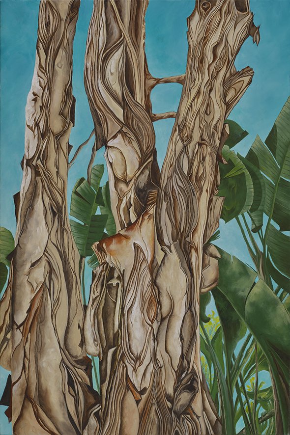 EucalyptusinPalmsI(lowres).jpg