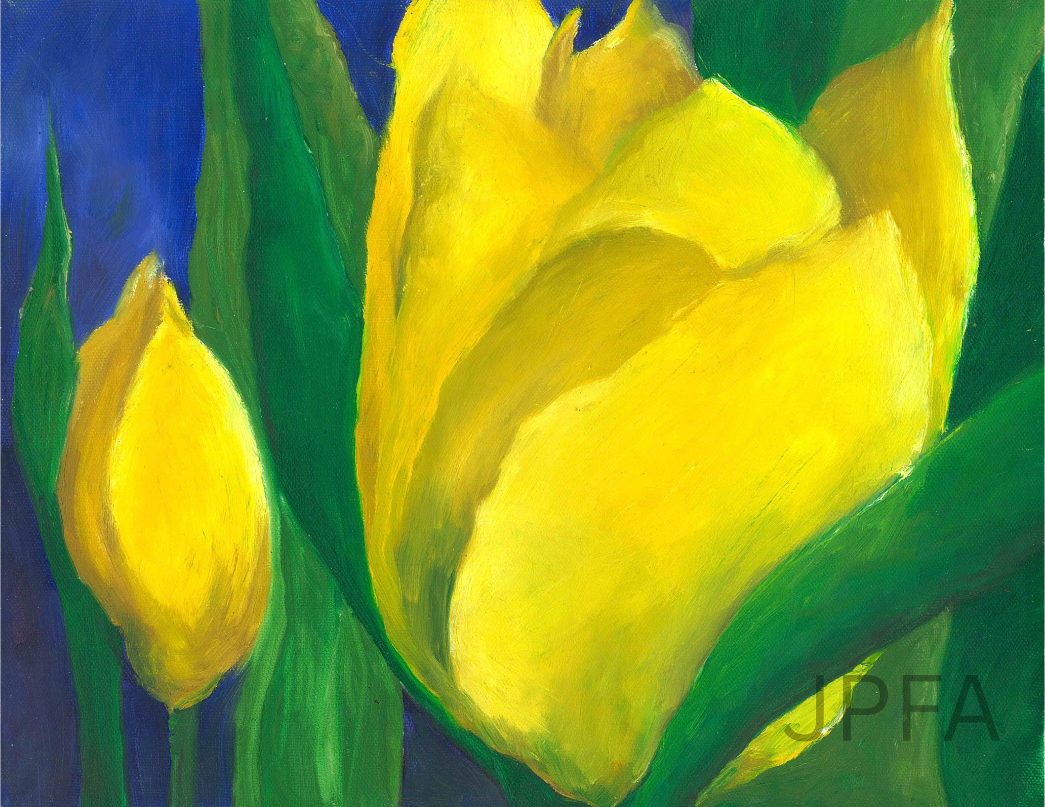 Yellow Tulips