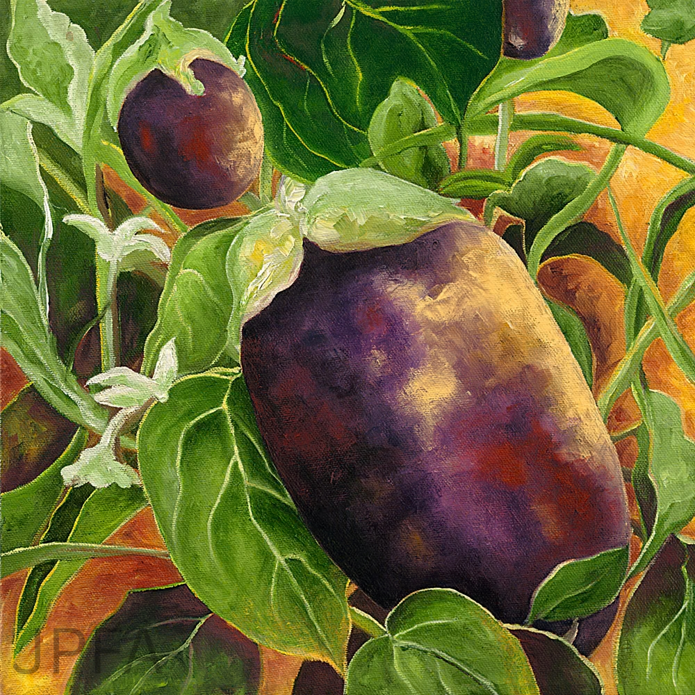 Eggplant