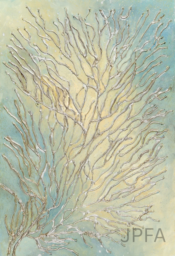 Sunlit Coral II