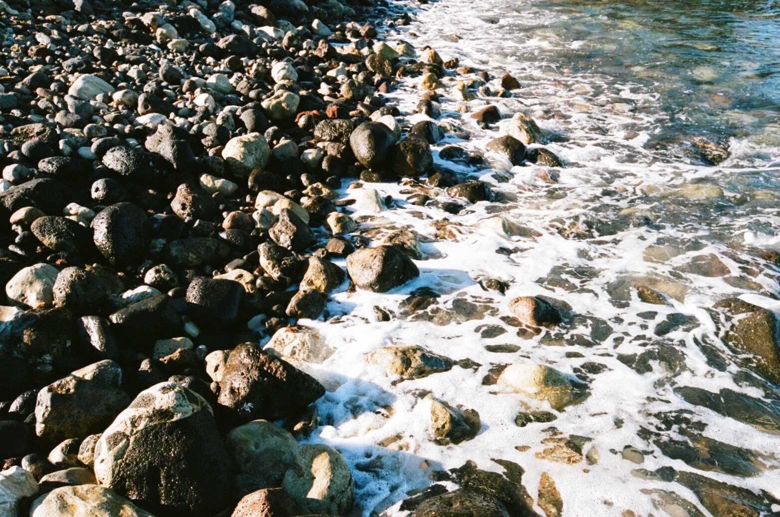 IMG_2974.jpeg