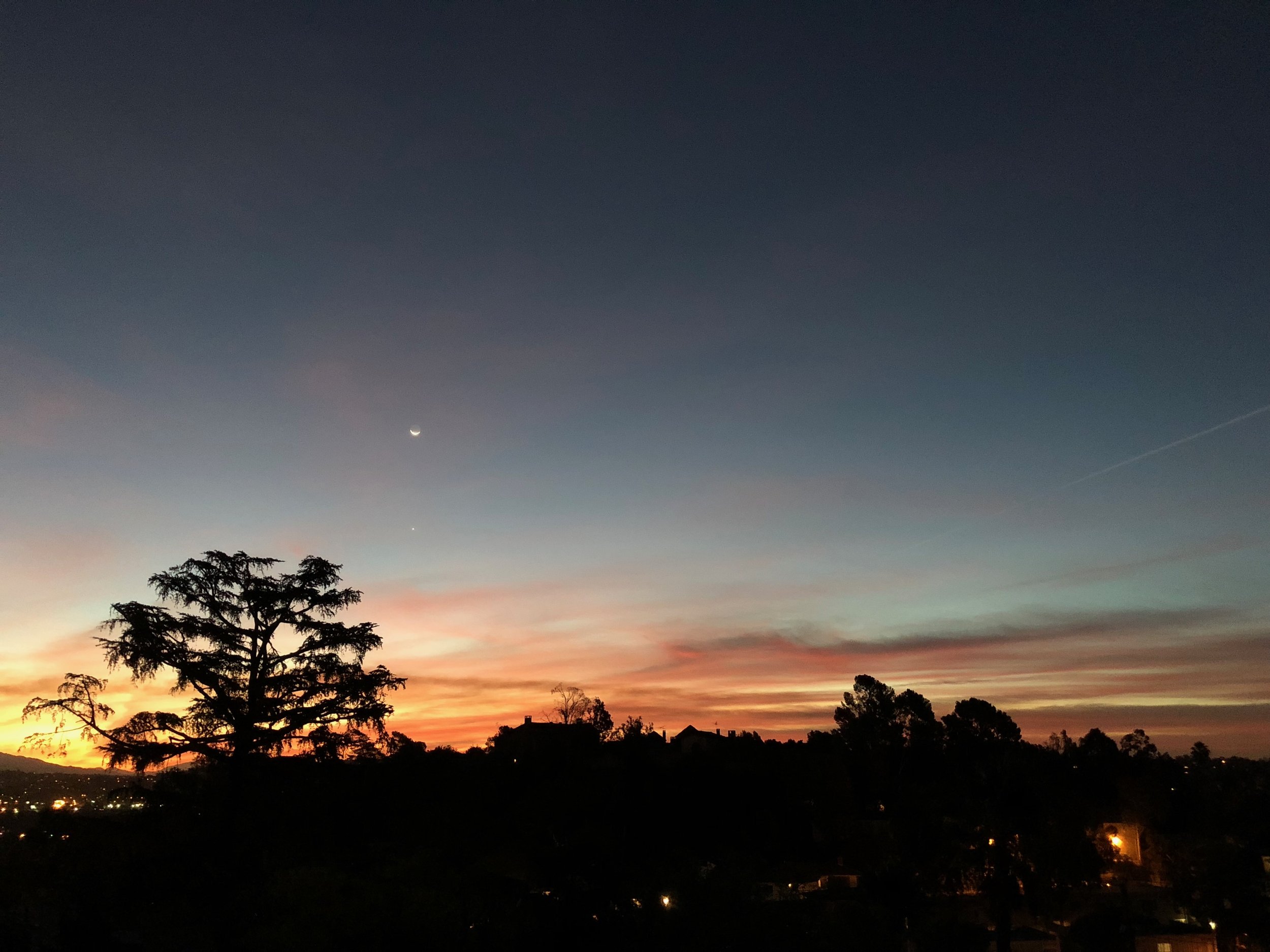 IMG_0003.jpeg