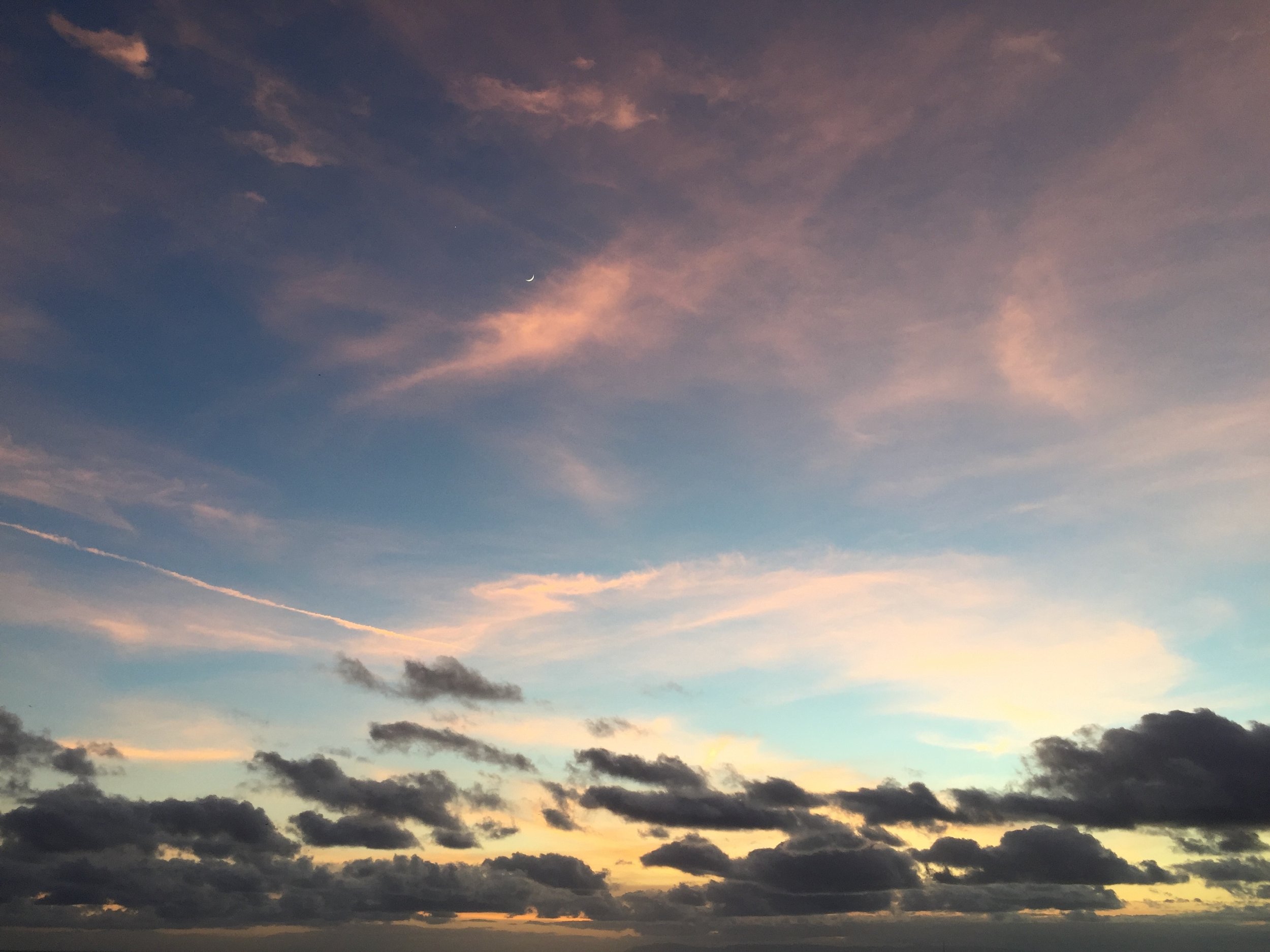 IMG_3286.jpeg