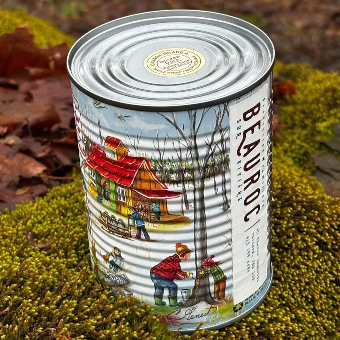 top view of local maple syrup can in the forest