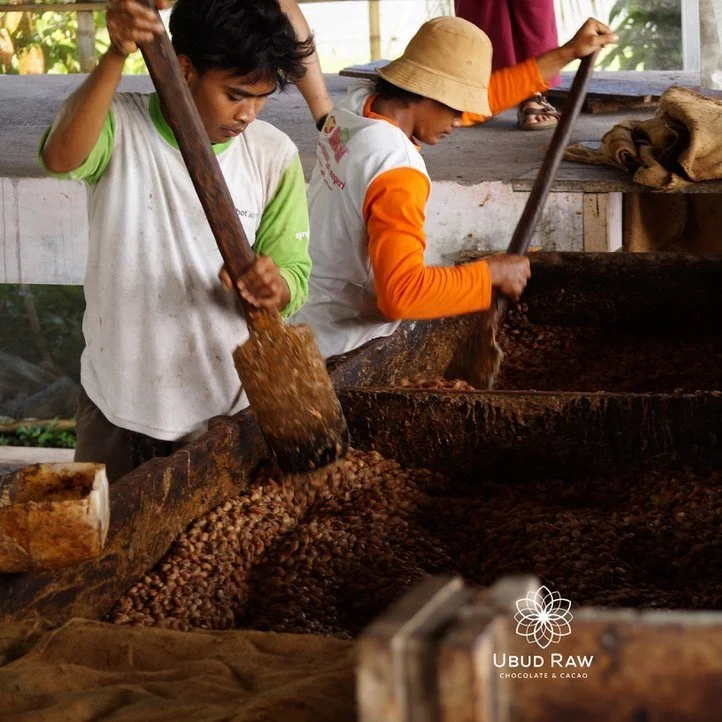 Ubud-Raw-cacao-preparation