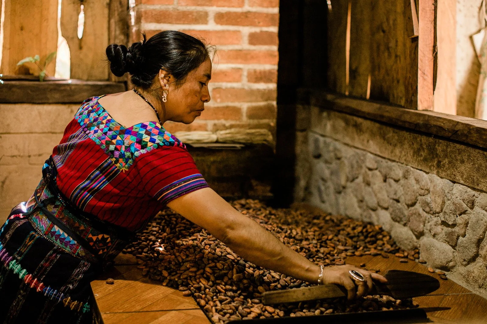 étapes de préparation du cacao