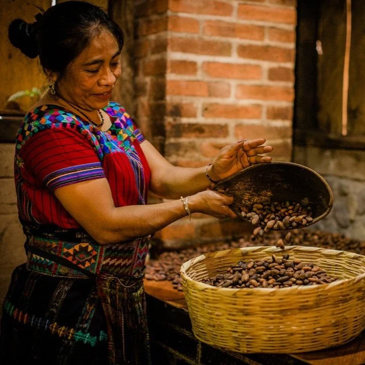 des fèves de cacao versées dans un panier