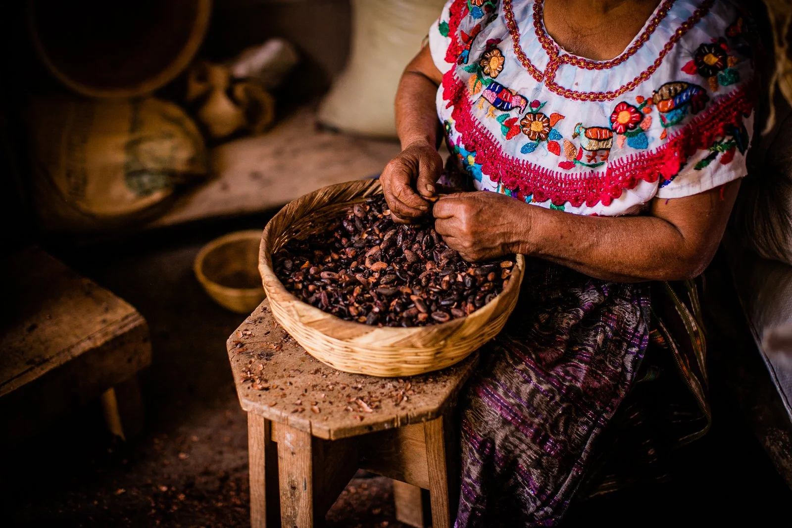 Gros plan de fèves de cacao versées dans un panier