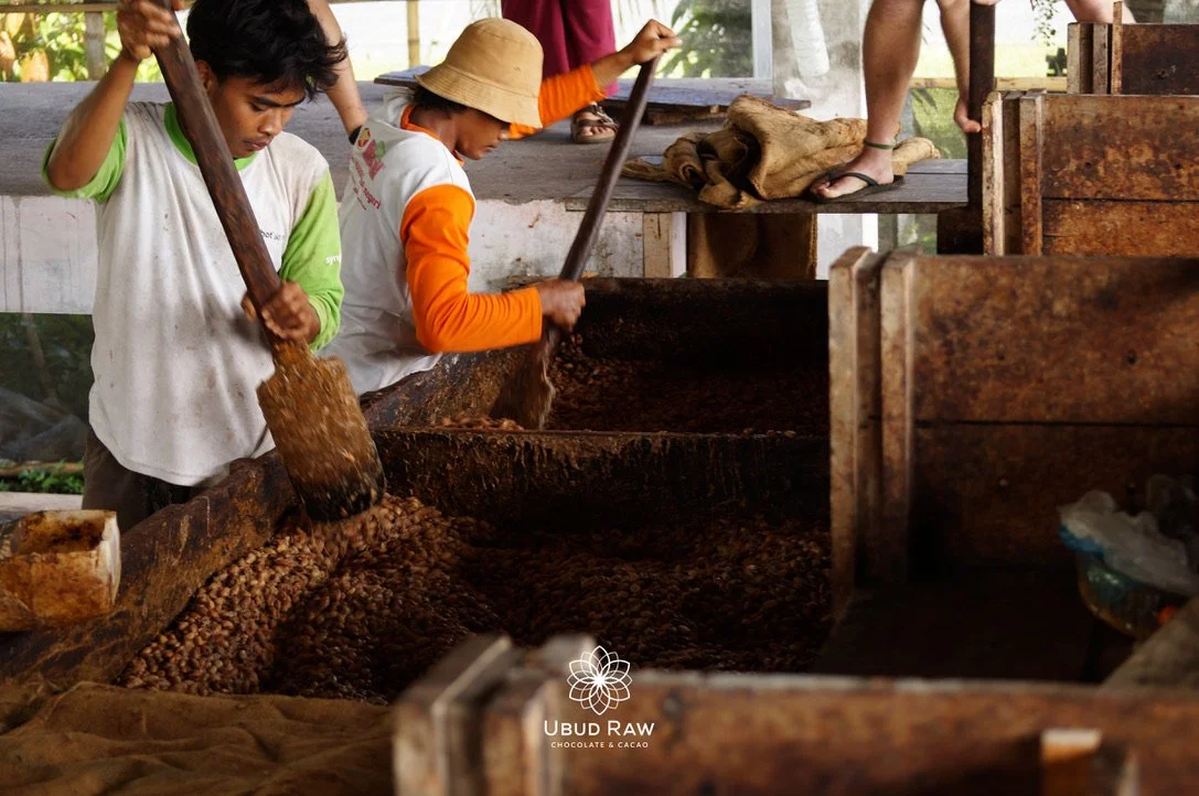 Ubud Raw prépare du cacao cérémoniel