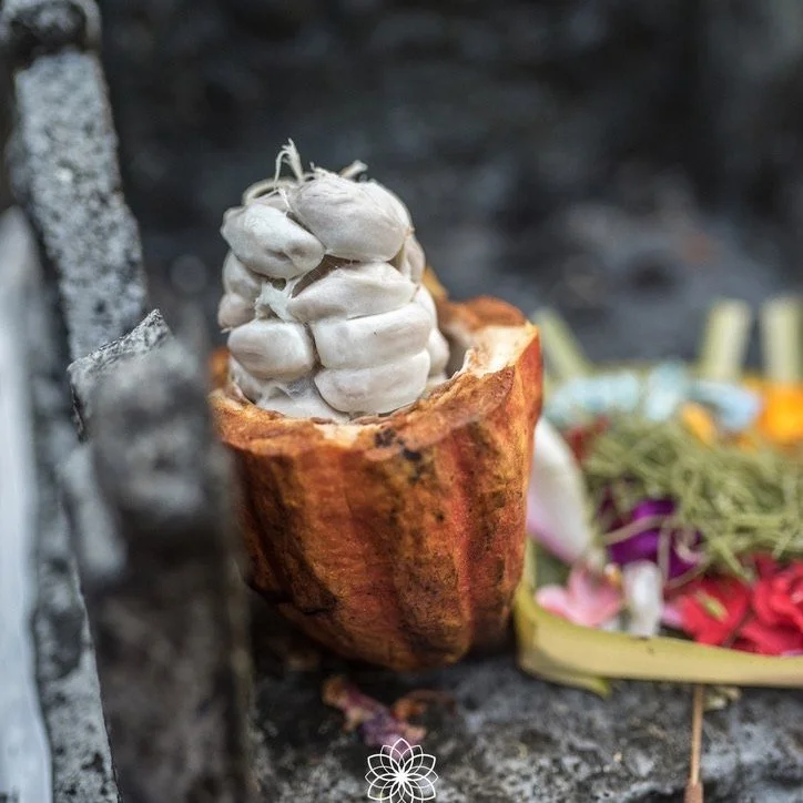 Installations de préparation d'Ubud Raw