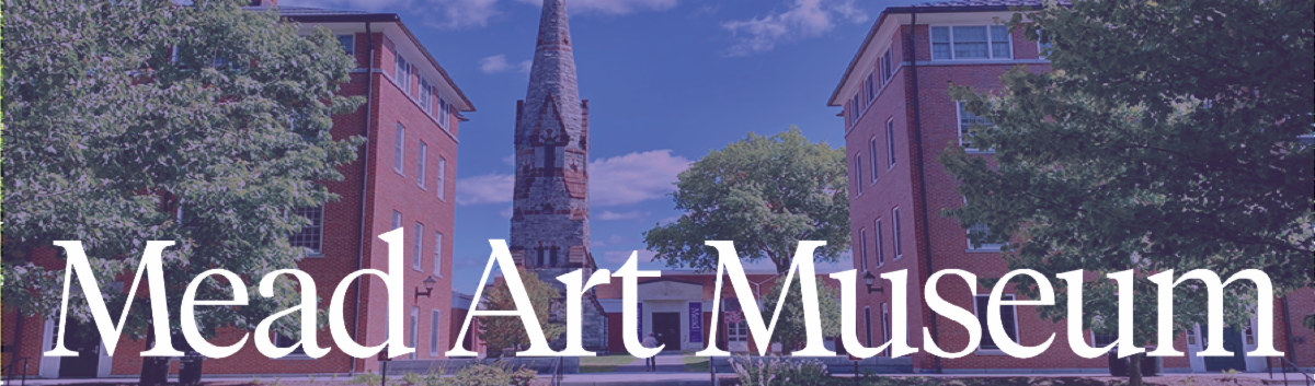 Two Spring shows open at the Mead Art Museum--details