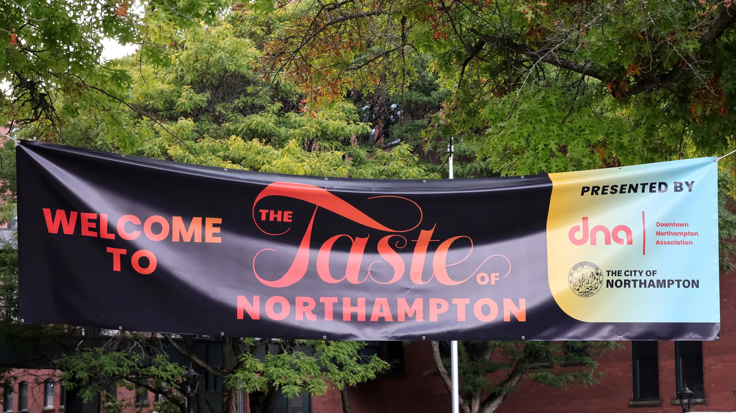 The Taste of Northampton Returns September 12–13 with More Food, More Music, and More Fun