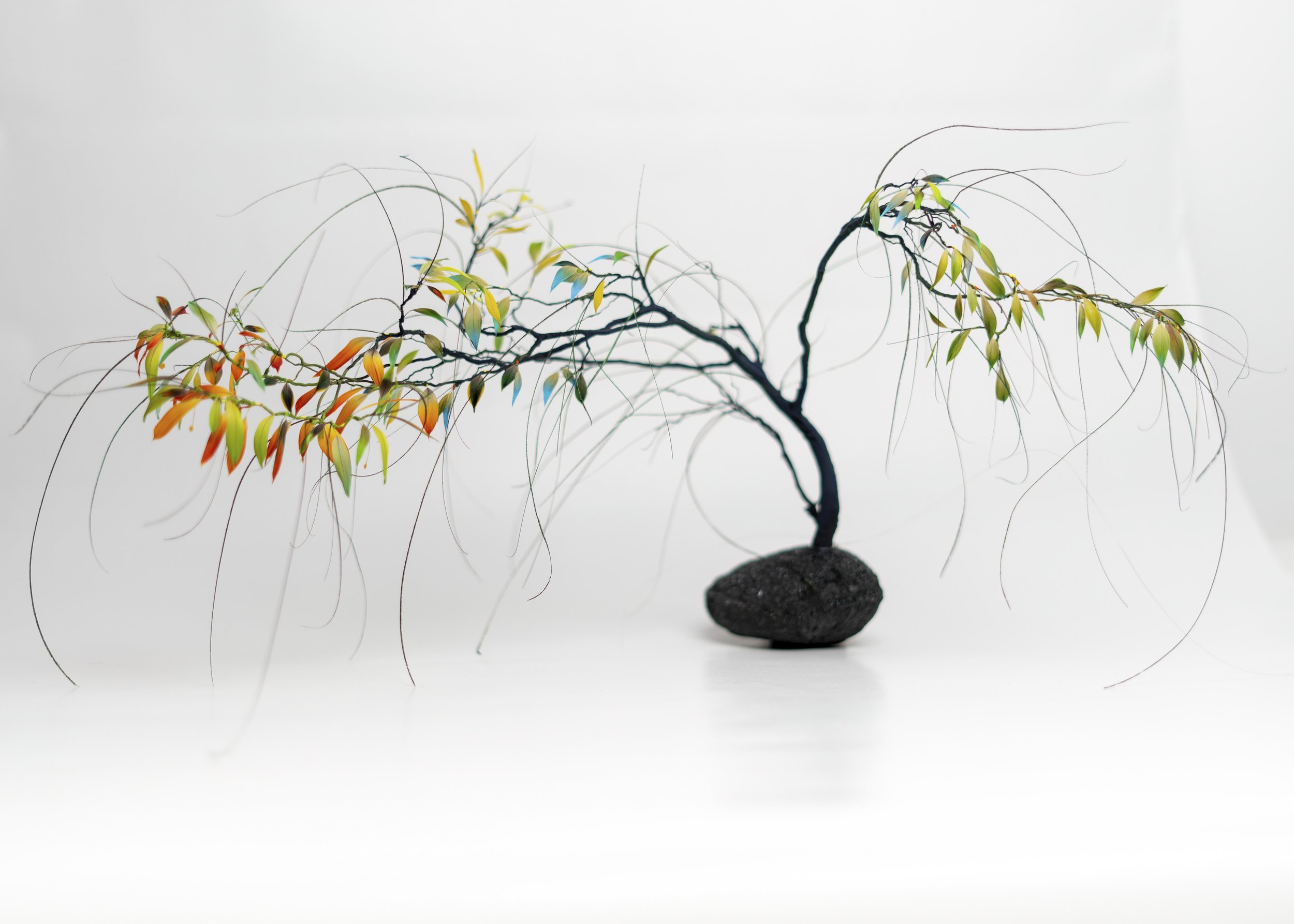 CHABY  (2021)
Feathers & wood
50 x 38 x 26 cm

