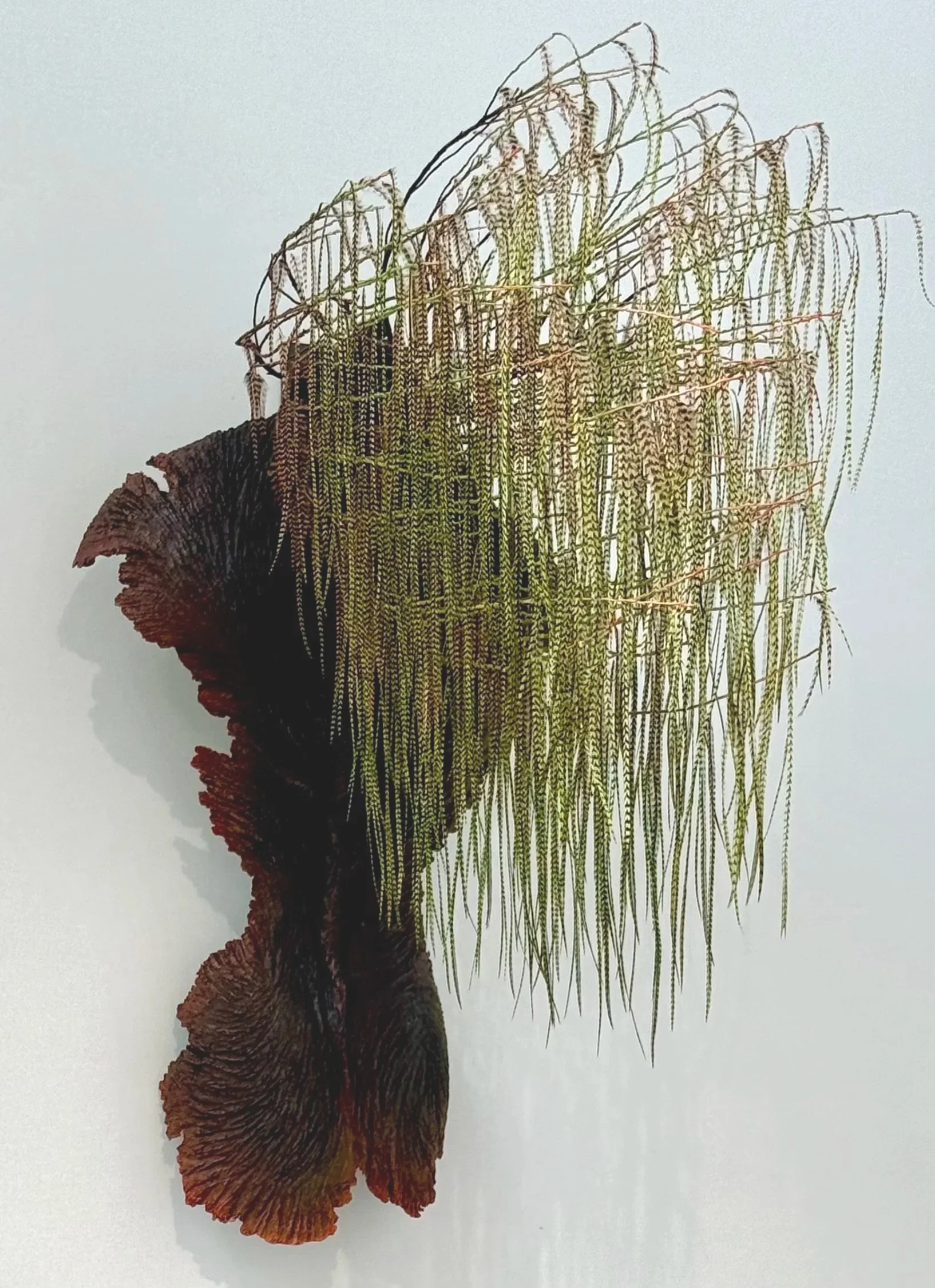 SAYA (2025)
Feathers and architecural wood 
100 x 75 x 55 cm