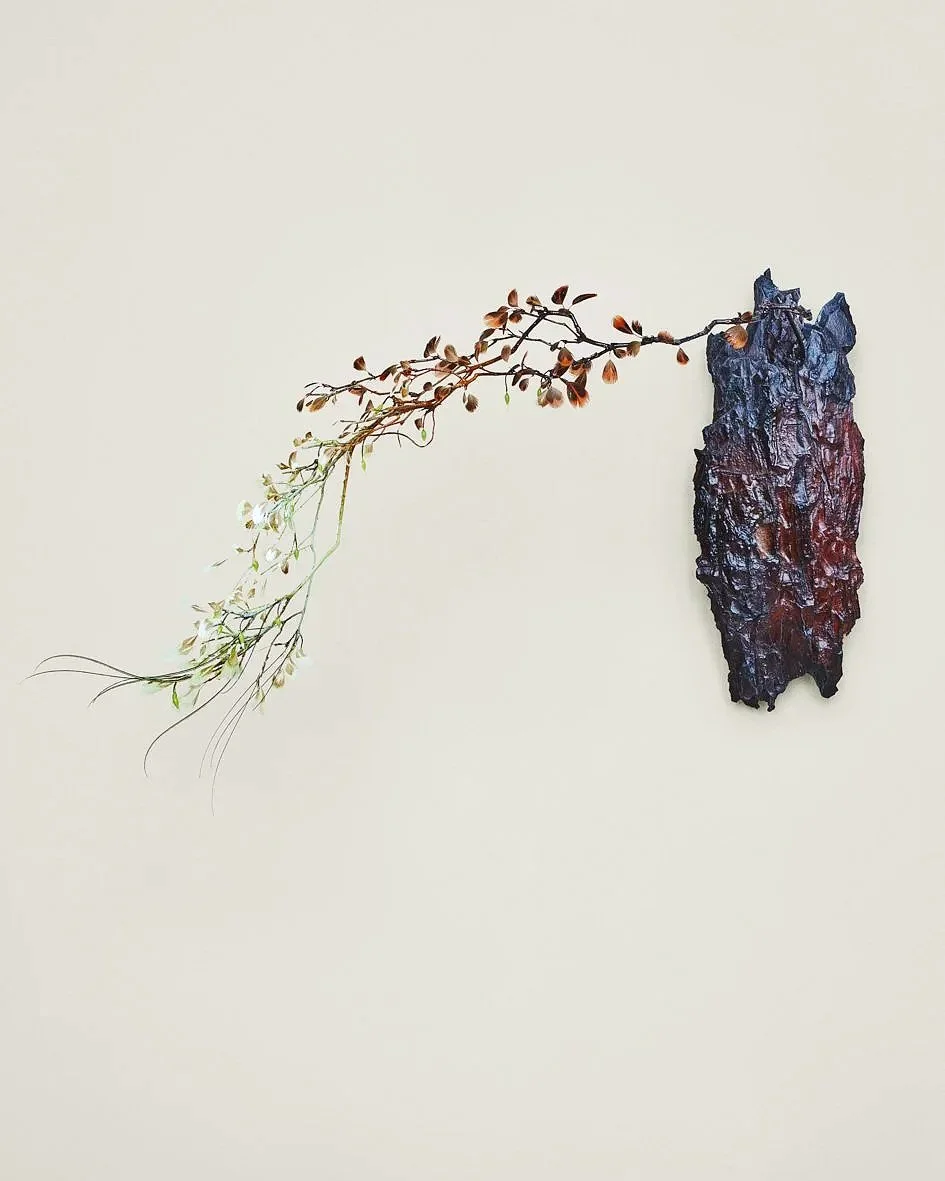 RAVI (2024)
Feathers & bark
53 x 30 x 25 cm