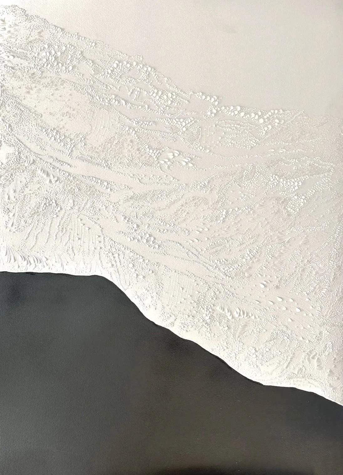 PRESENCE I,  diptych
Bas relief on paper
119 x 88 cm