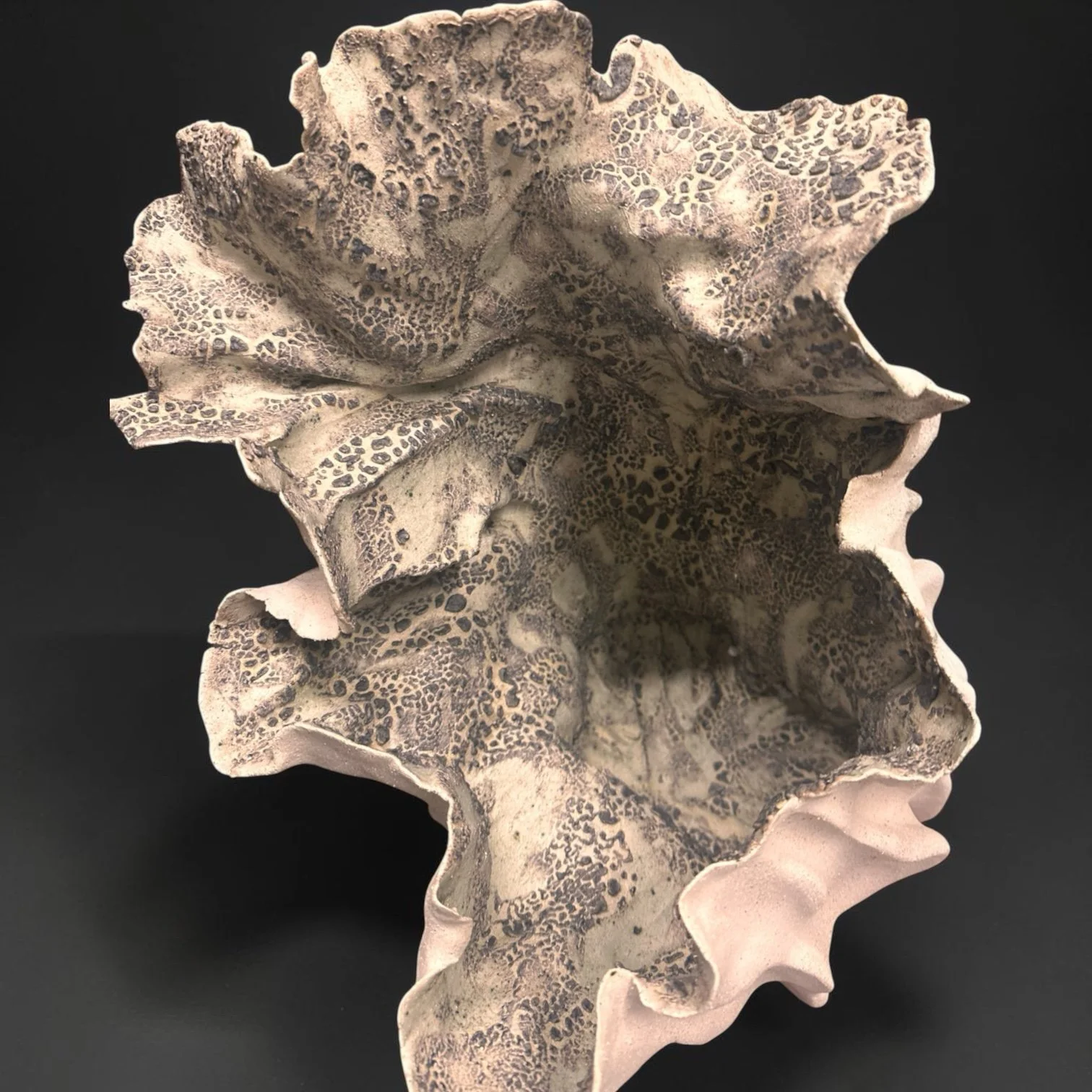 BW2026ET02, from above