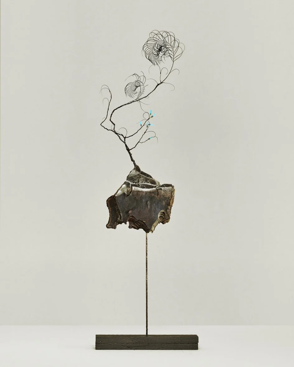 GOU (2020)
Feather & wood 
17 x 18 x 39 cm