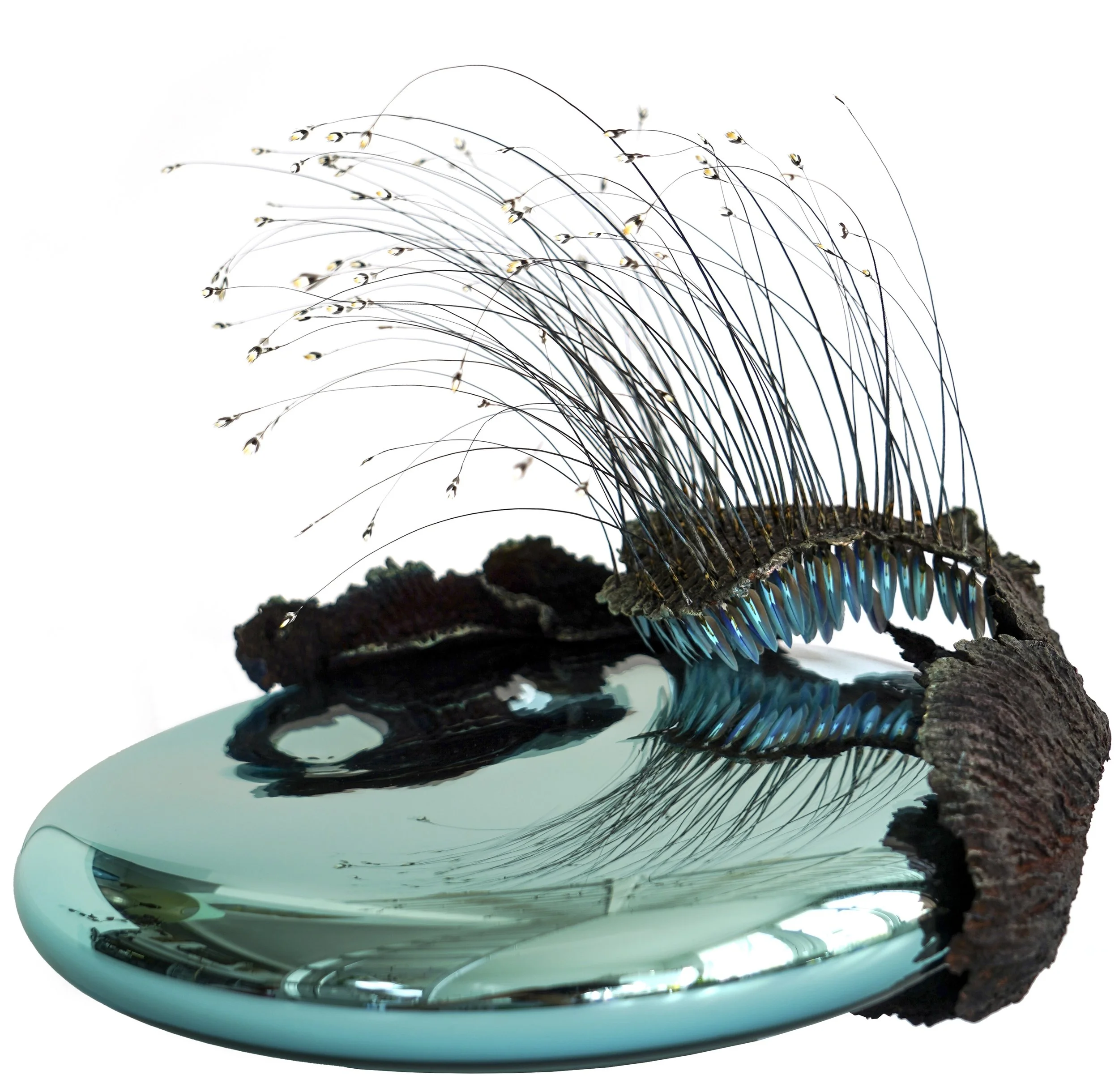  FIBY (2025)
in collaboration with  Glassmaker Xavier Lenormand
Feathers, architecural wood, glass 
50 x 50 x 50 cm