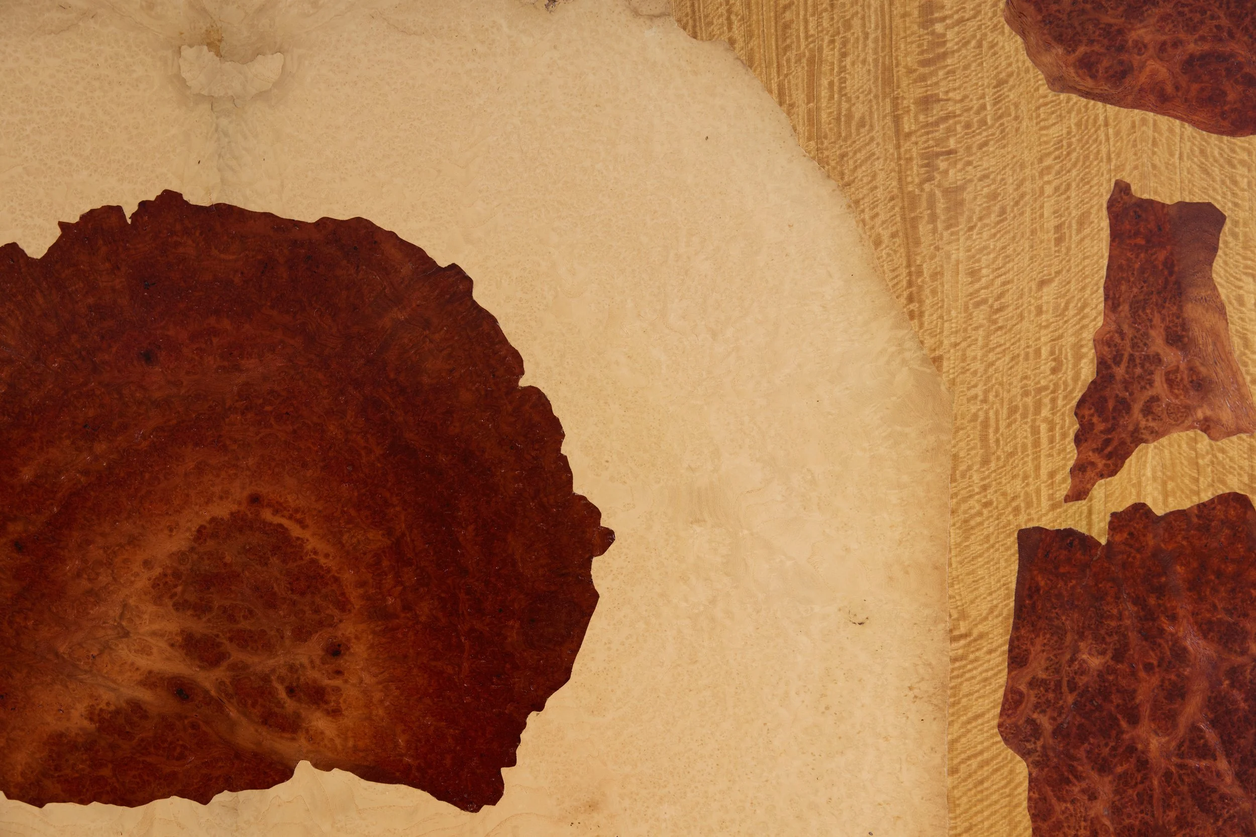 ©Marianne-Louge-2025_BEYSSAC Pierre Henri0991.jpg