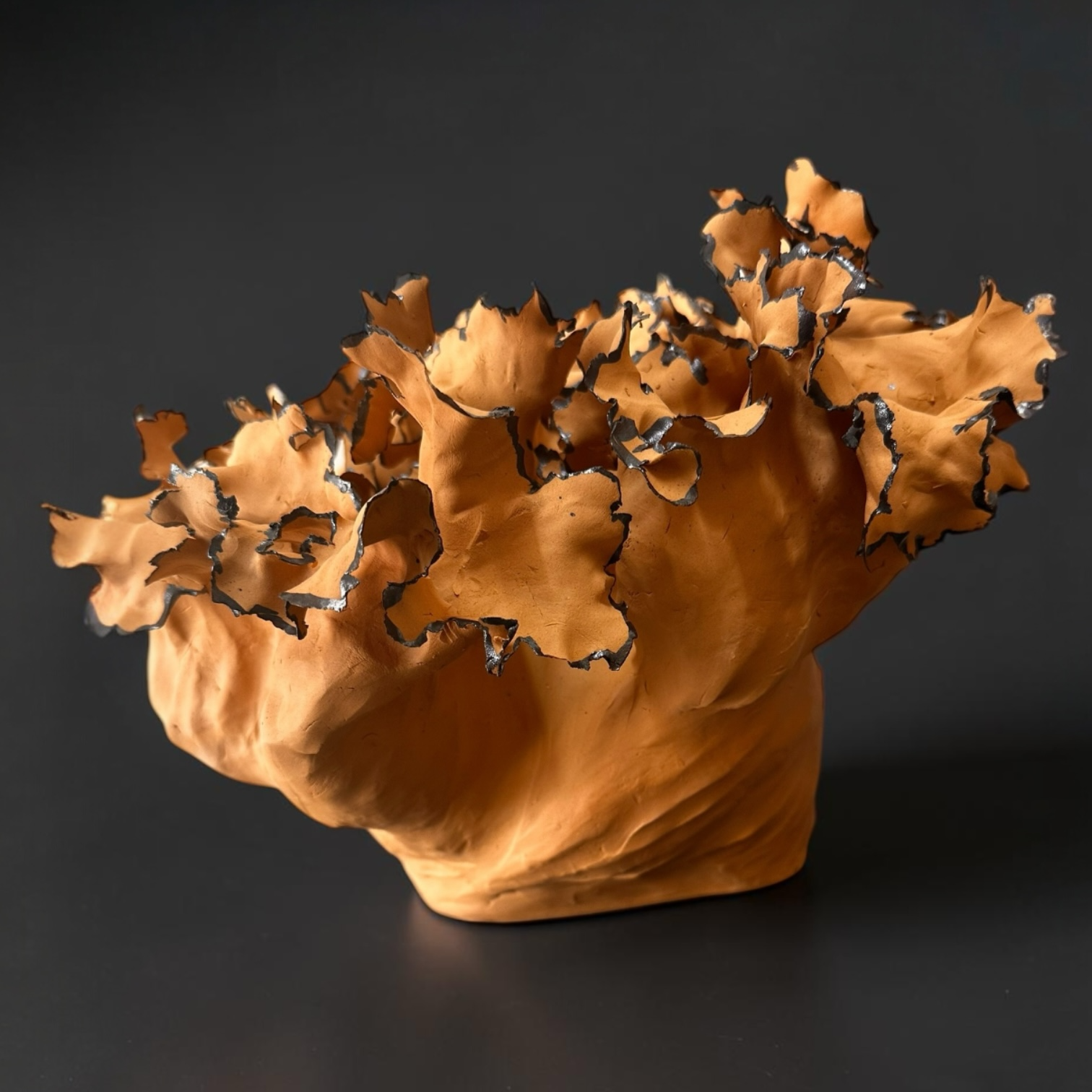 R2025NE01
Red stoneware — Coil-built— Unglazed, manganese oxide wash — H. 25 cm × W. 39 cm