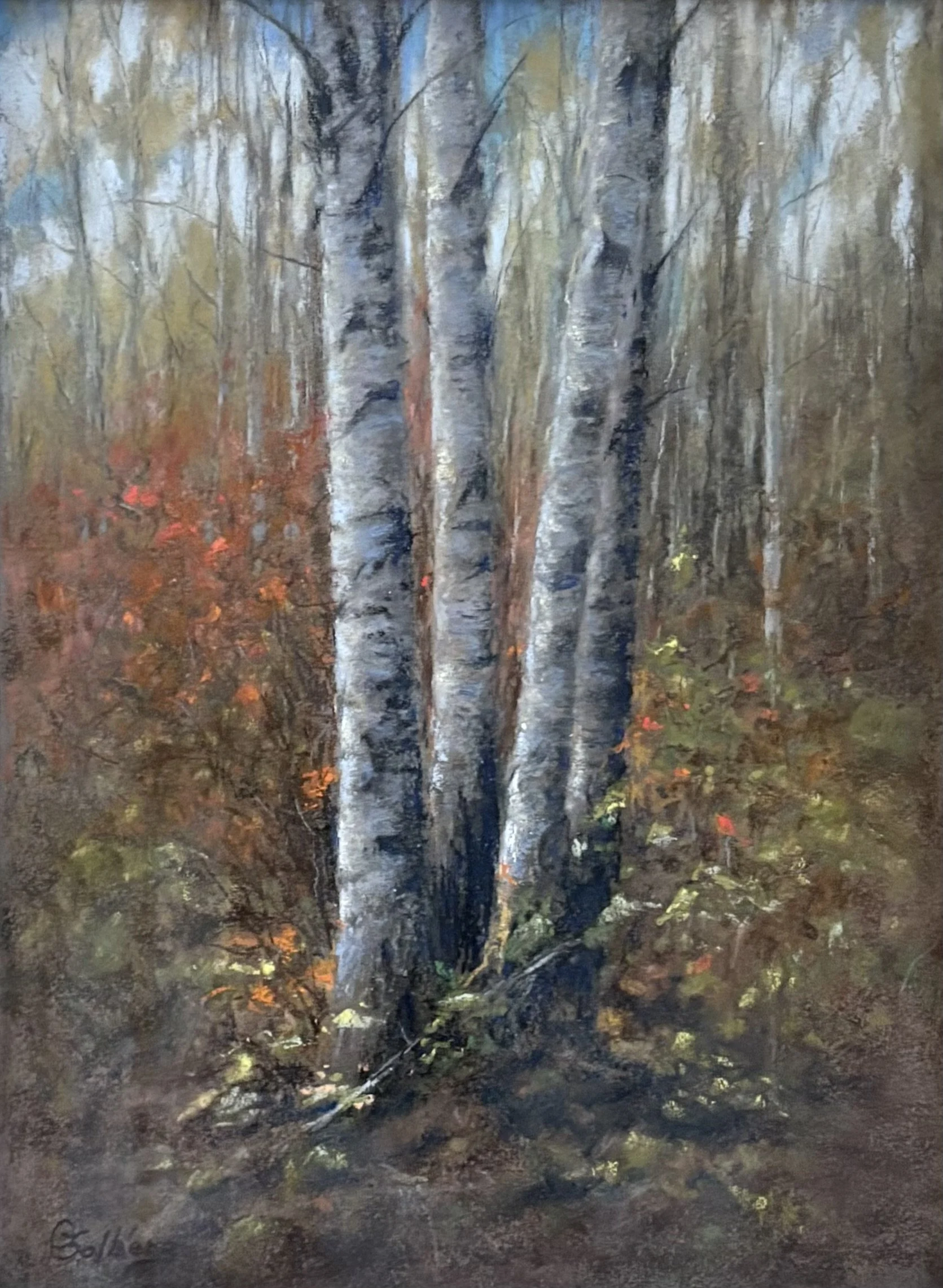 Birch Trees ~ Pastel ~ 9x12