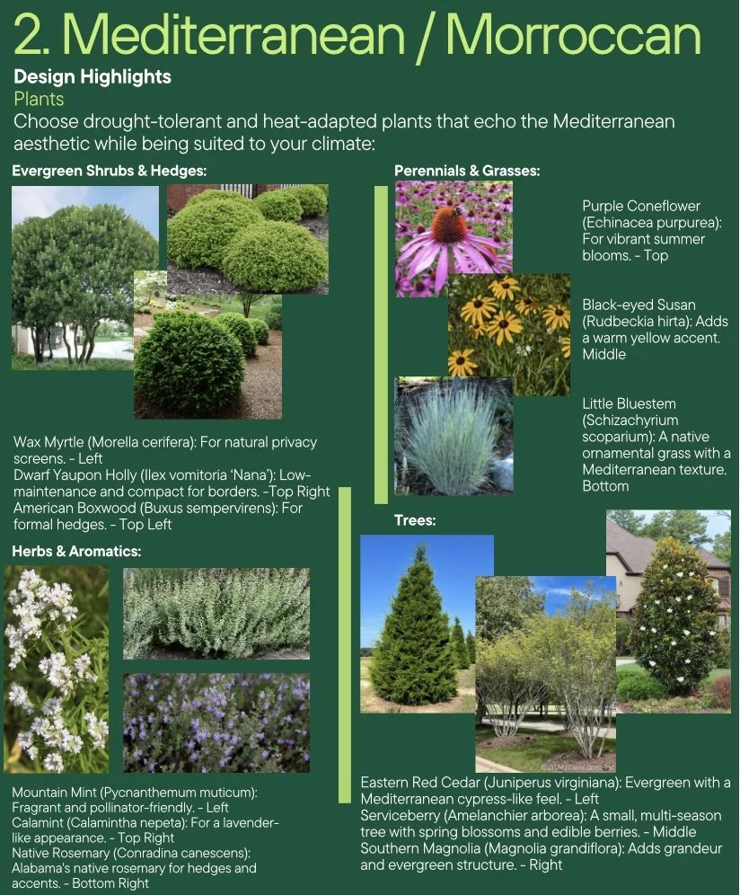 Image 12-1-24 at 12.14 PM.jpeg