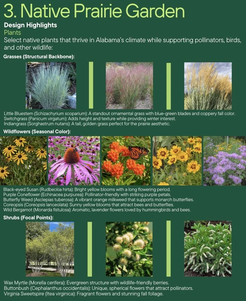 Image 12-1-24 at 12.14 PM.jpeg