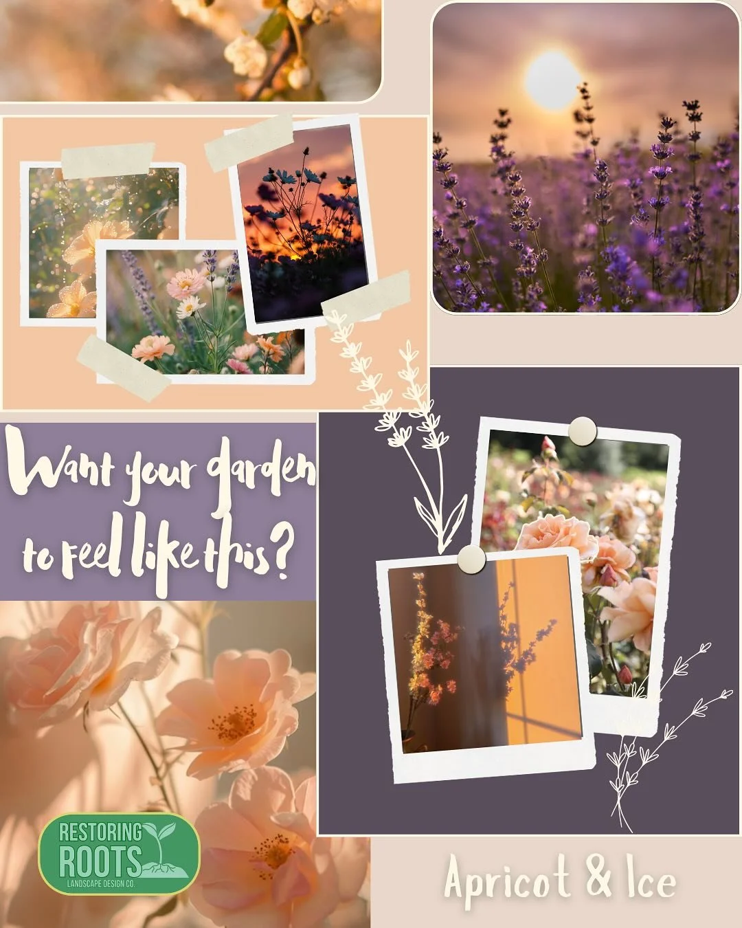 There&rsquo;s something about the way apricot and lavender play together that feels a little like sunlight and stillness.
This palette&mdash;Apricot &amp; Ice&mdash;isn&rsquo;t just a combination of colors. It&rsquo;s a feeling.
It&rsquo;s soft, laye
