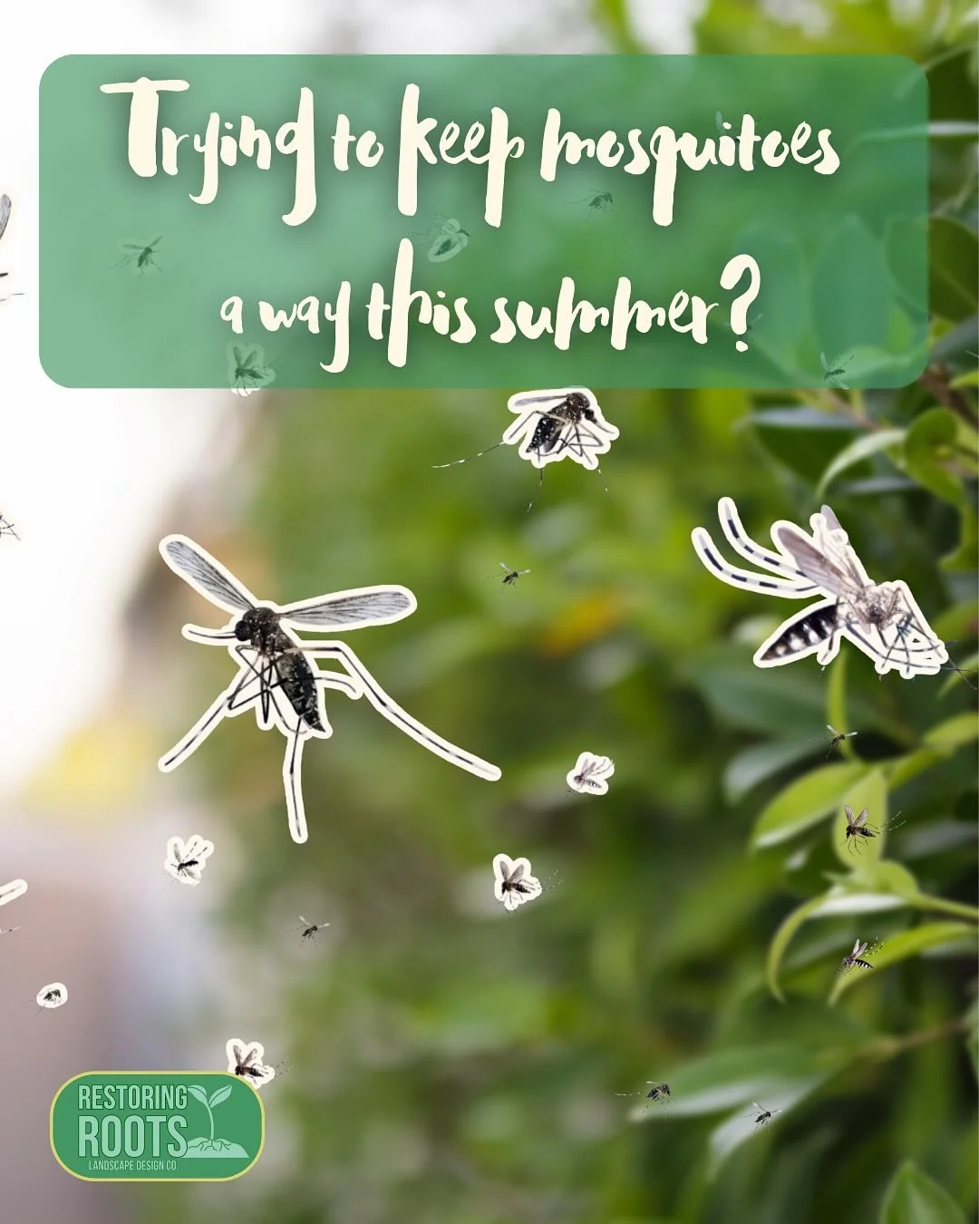 It&rsquo;s Wildlife Wednesday, and today we&rsquo;re taking a big-picture look at how to enjoy your yard this summer without relying on chemicals OR sacrificing the wildlife that makes our landscapes feel alive.

From repelling plants and natural oil