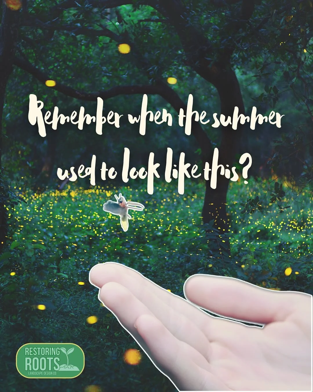 Fireflies are disappearing&mdash;but it doesn&rsquo;t have to stay that way.

By making a few thoughtful changes to our outdoor spaces, we can help bring them back. This post shares simple ways to support firefly populations right from your own yard.