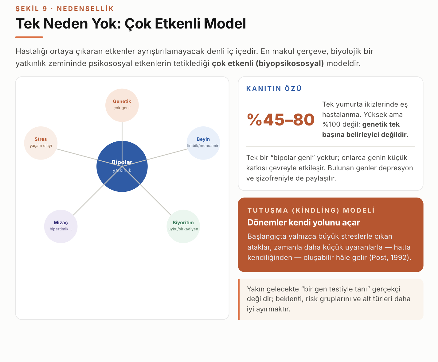 Bipolar Bozukluk: Nedenleri, Tedavi Evreleri ve İlaç Seçimi