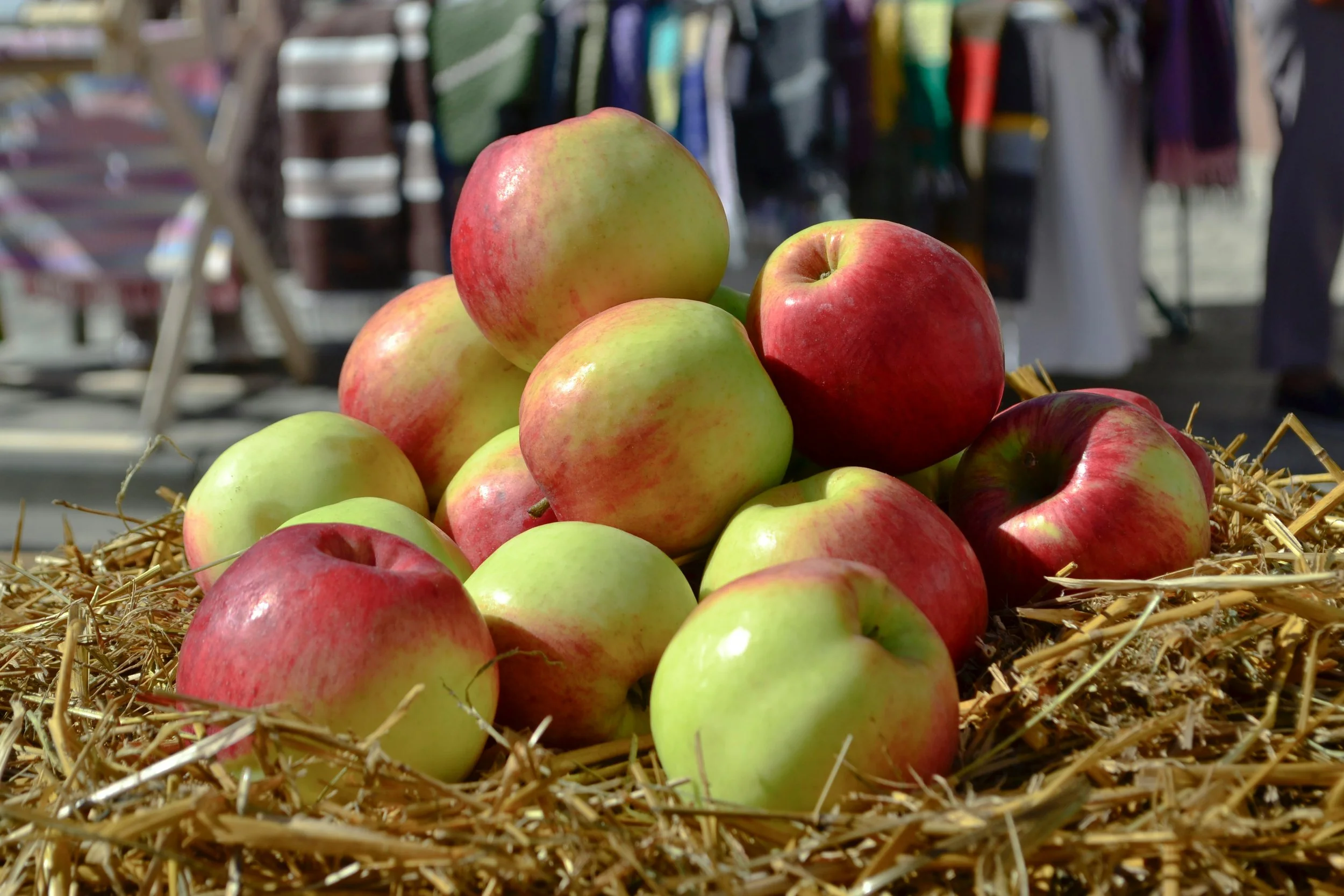 Sayville Apple Festival