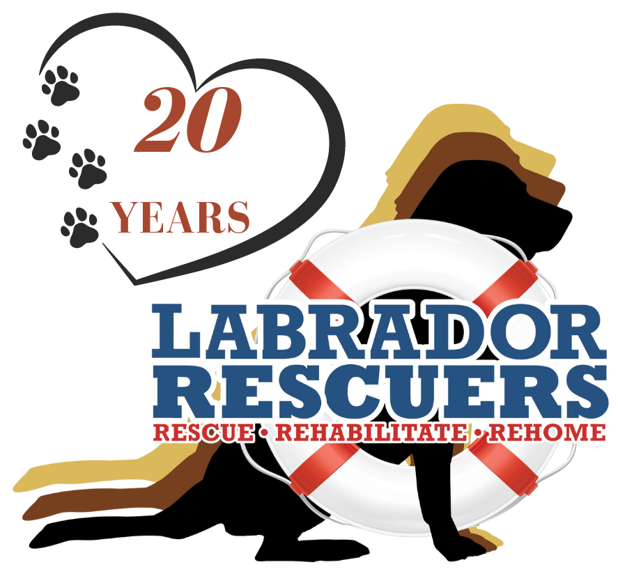 LR 20 Year Logo_whitebackground.png