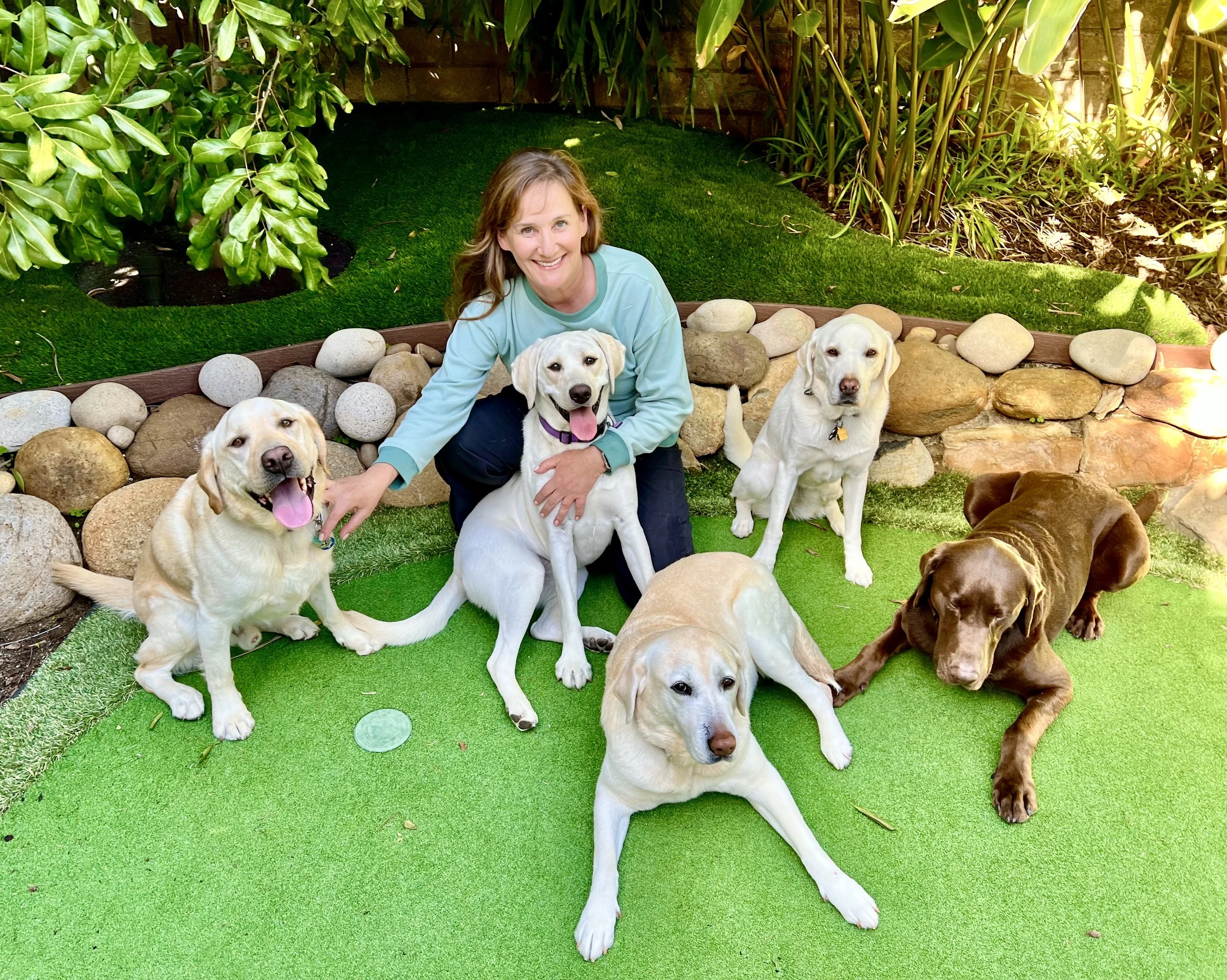 Wildwood Petcare 2025 Year in Review: Rescues, Community, and Pet Care Highlights