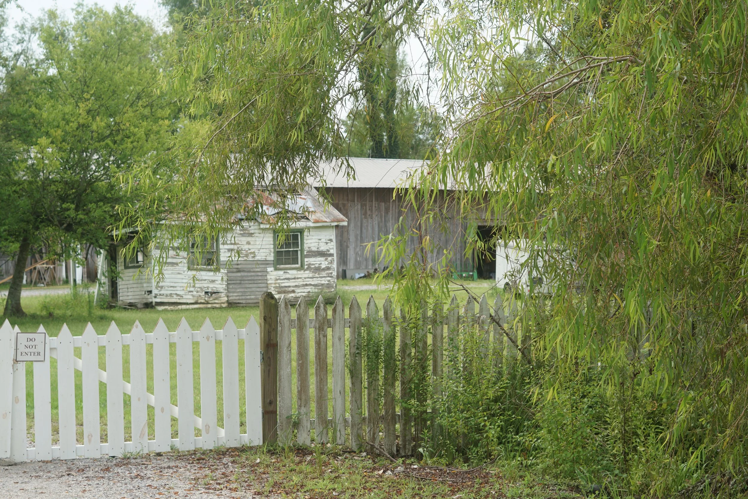 DSC09683.JPG