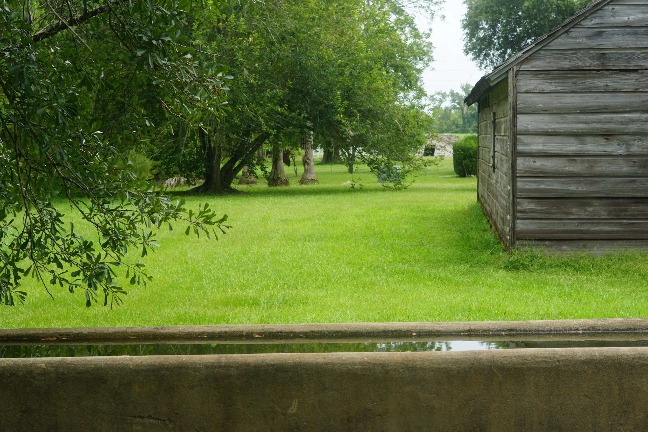 DSC09728.JPG