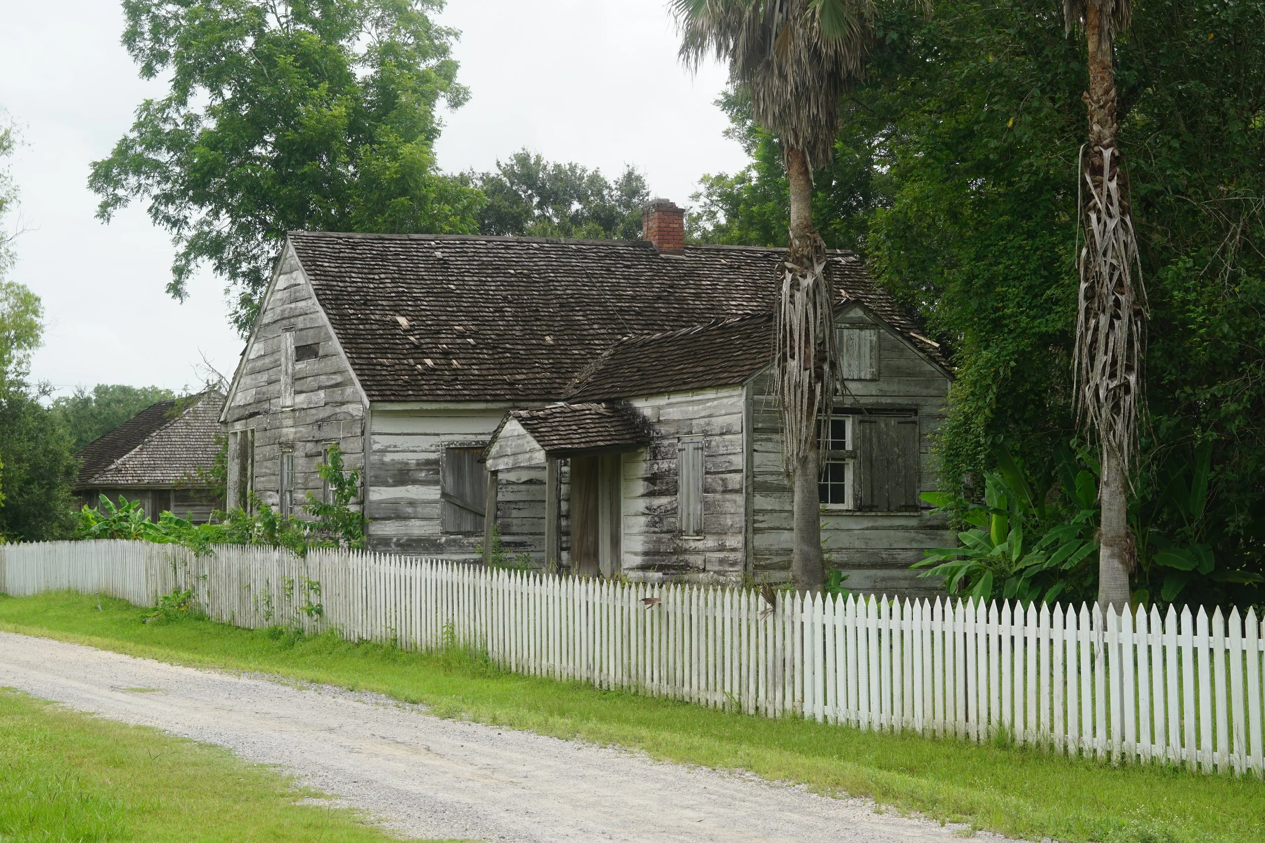 DSC09684.JPG