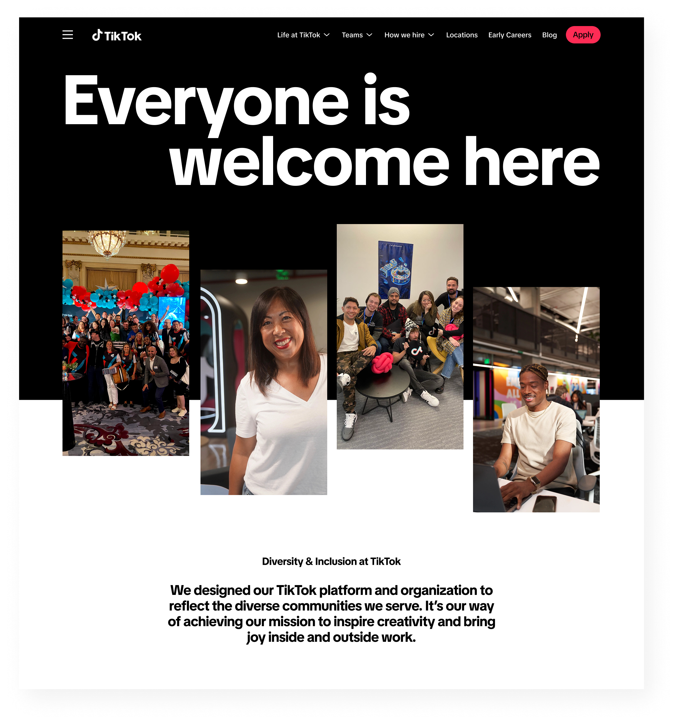 TikTok DEI Page