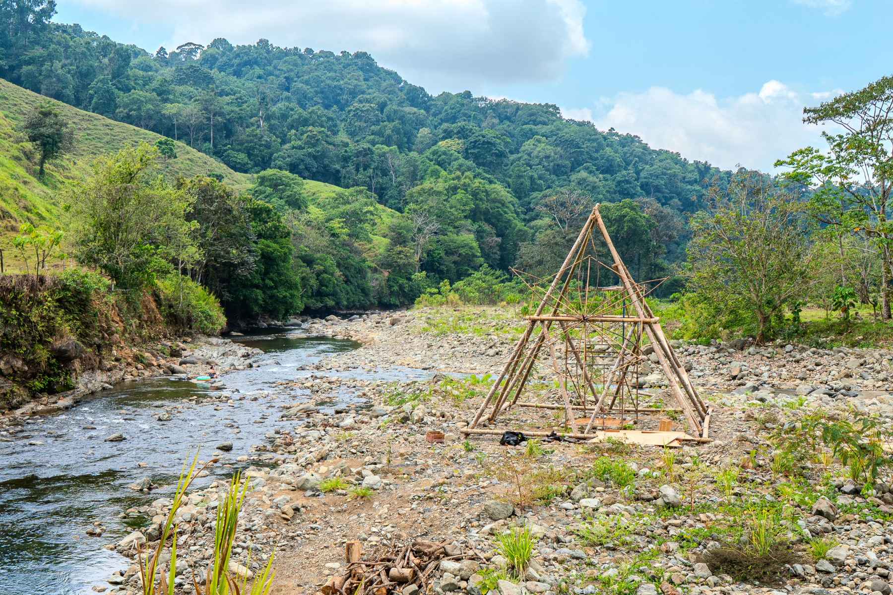 Bliss Burn Web Header.png