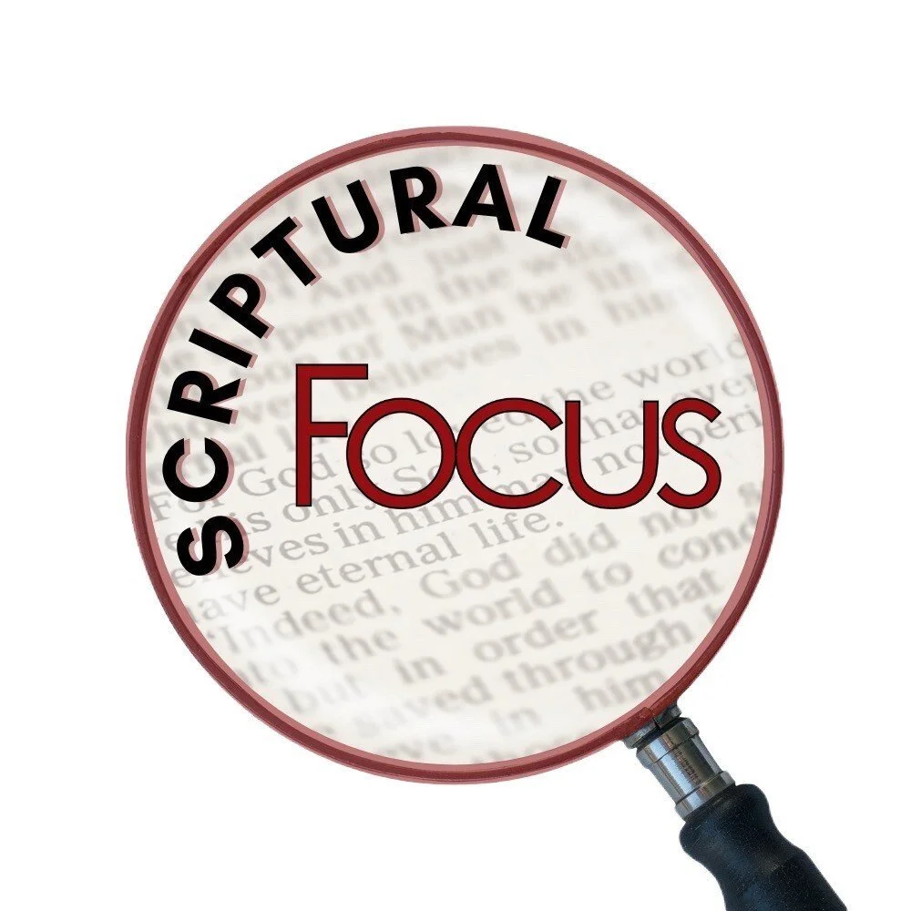 Focus+ — Focus Press