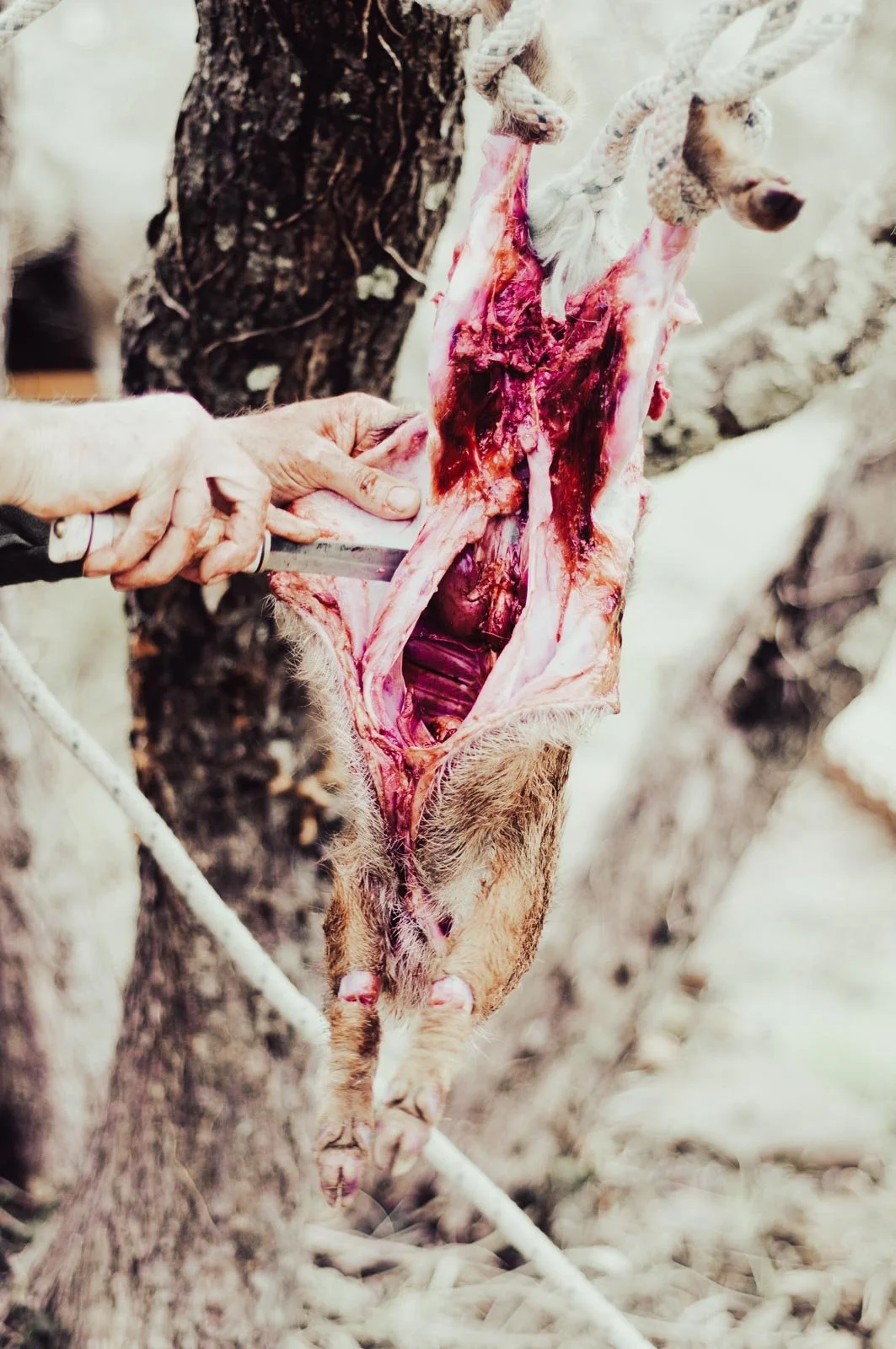 Resonances Matthias Koch-10.jpg