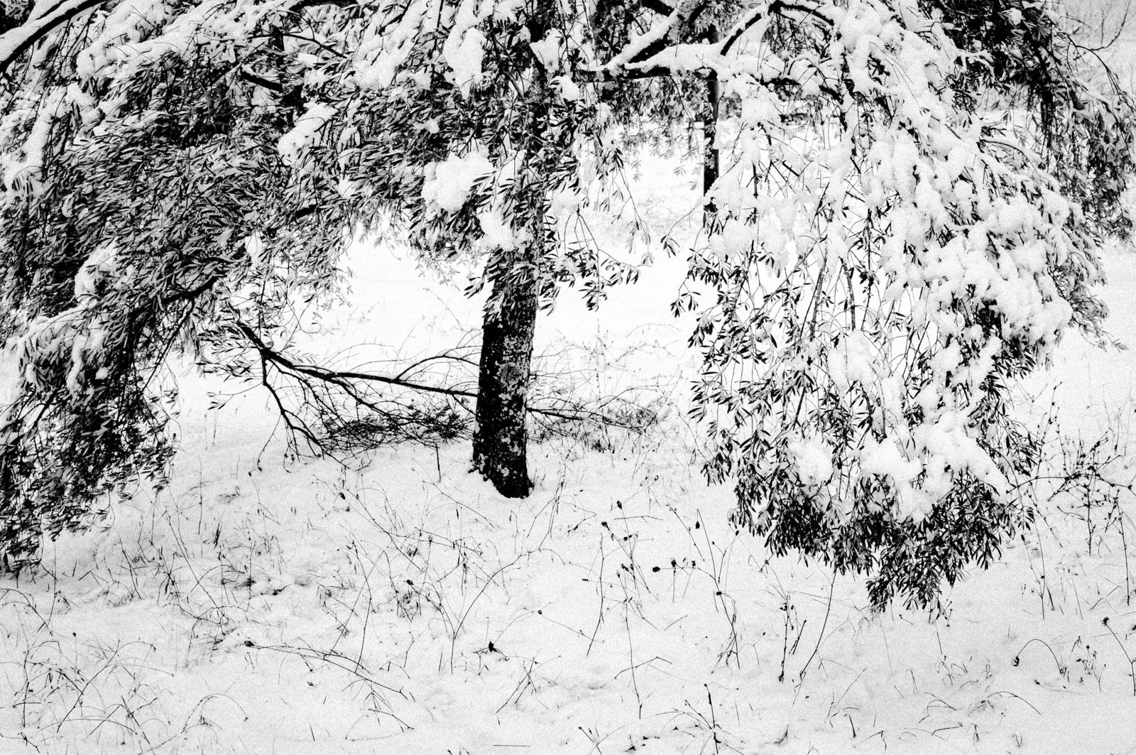 Resonances Matthias Koch-22.jpg