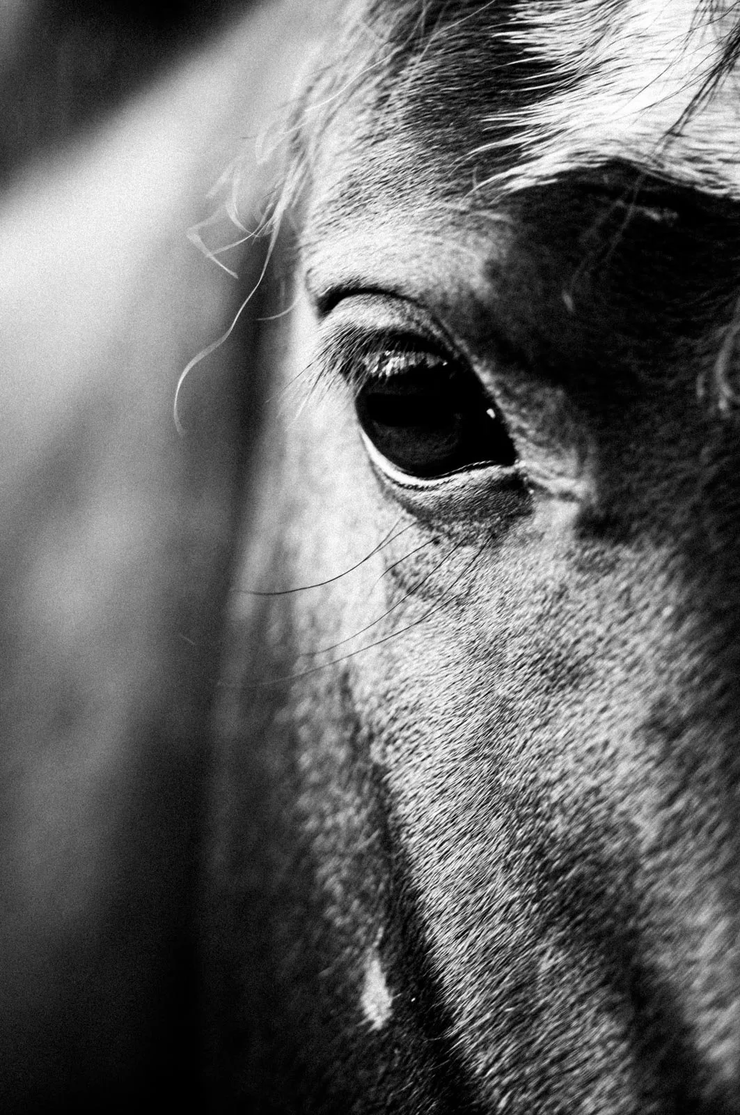 Resonances Matthias Koch-1.jpg