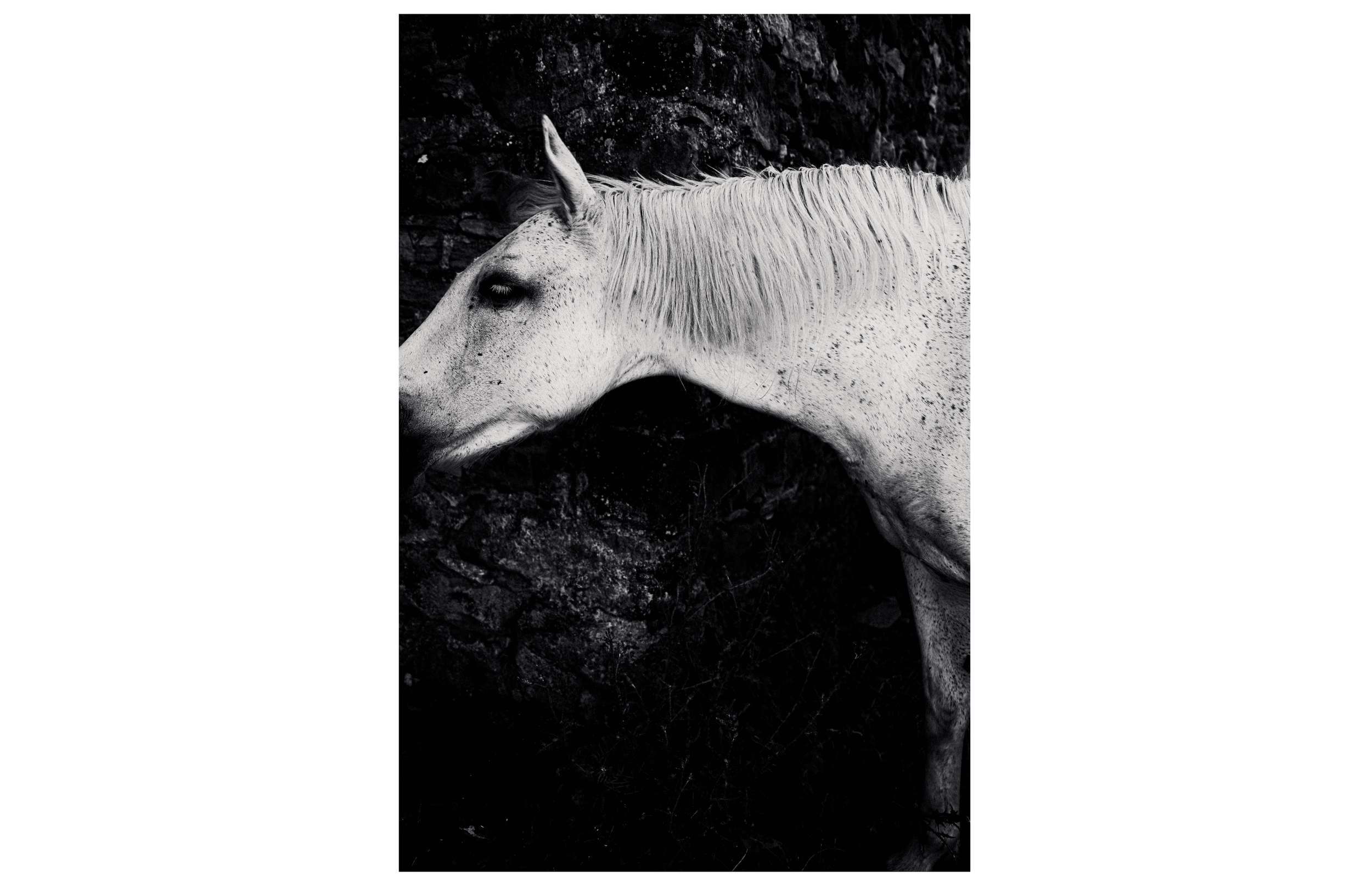 Resonances I — 40 x50 - Ed. 12
