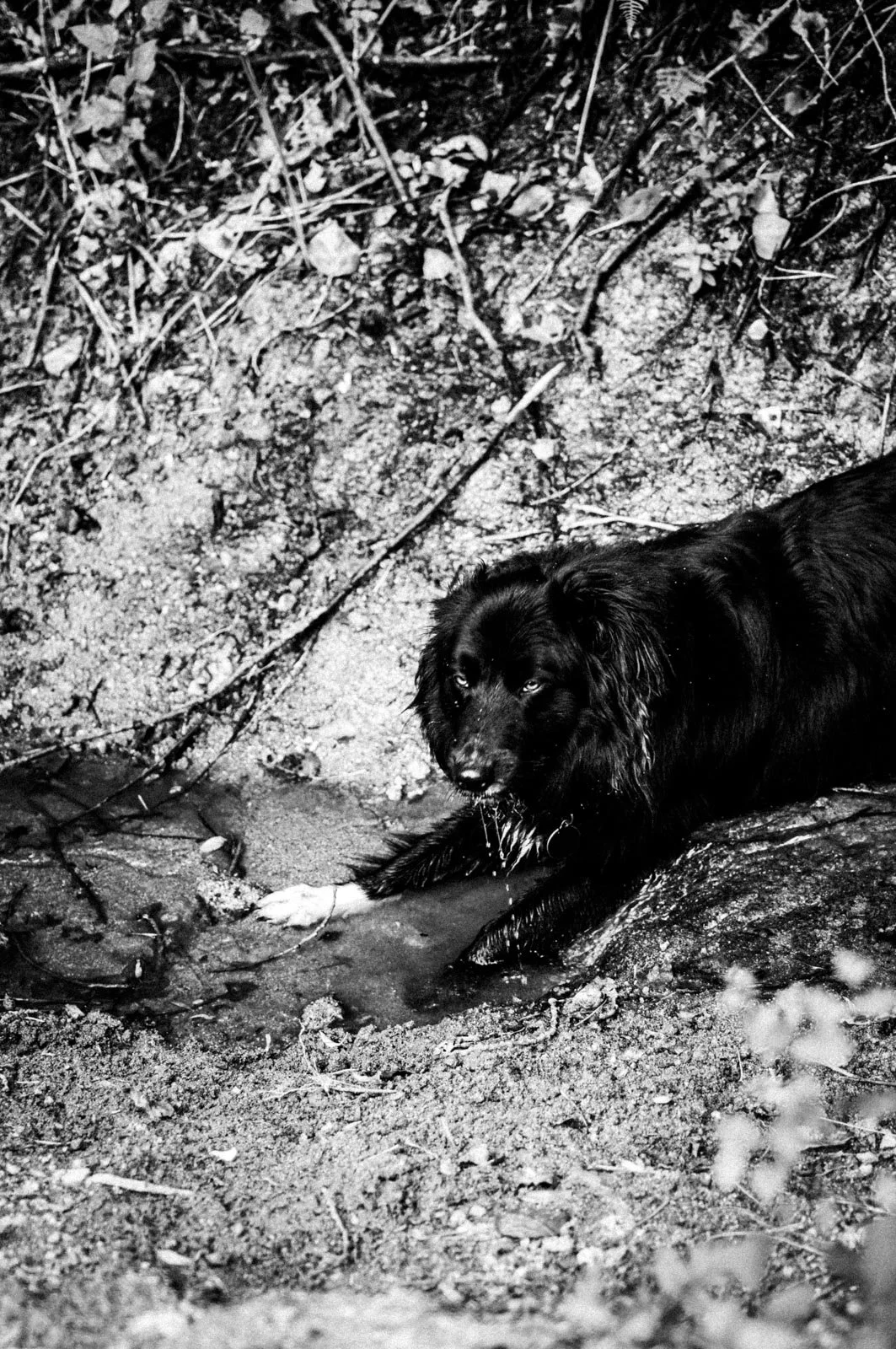 Resonances Matthias Koch-14.jpg