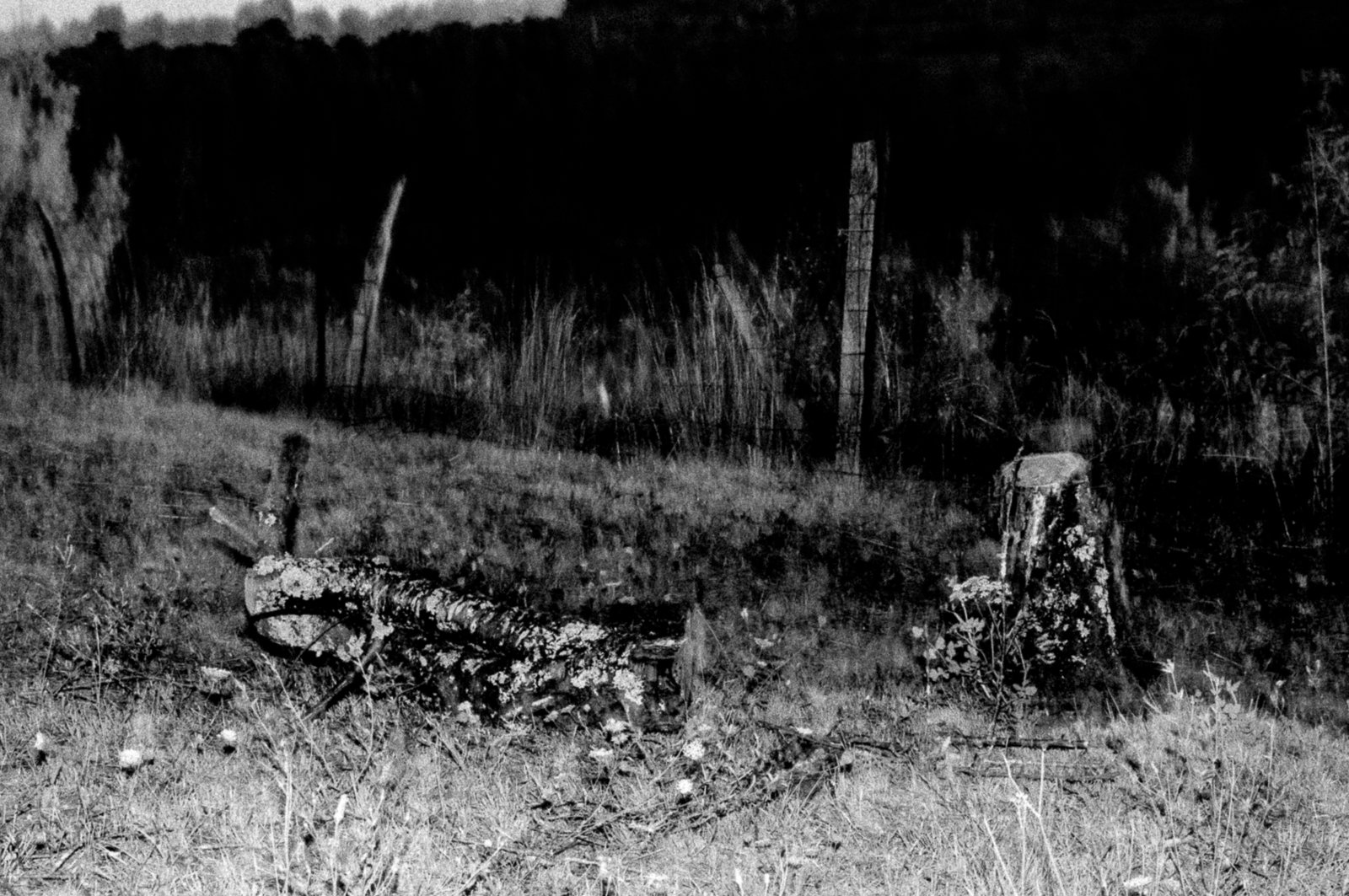A black and white photo of an outdoor scene at night featuring a fallen tree trunk in the foreground, grass, and a wire fence with wooden posts in the background.